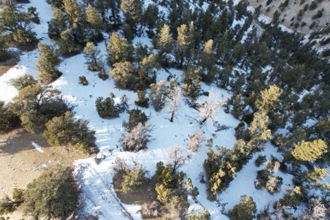 Land, Roosevelt, Utah image 1