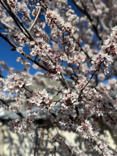 Tiny photo for 2998 S WOOLEY WAY, Magna, UT 84044 (MLS # 2147355)