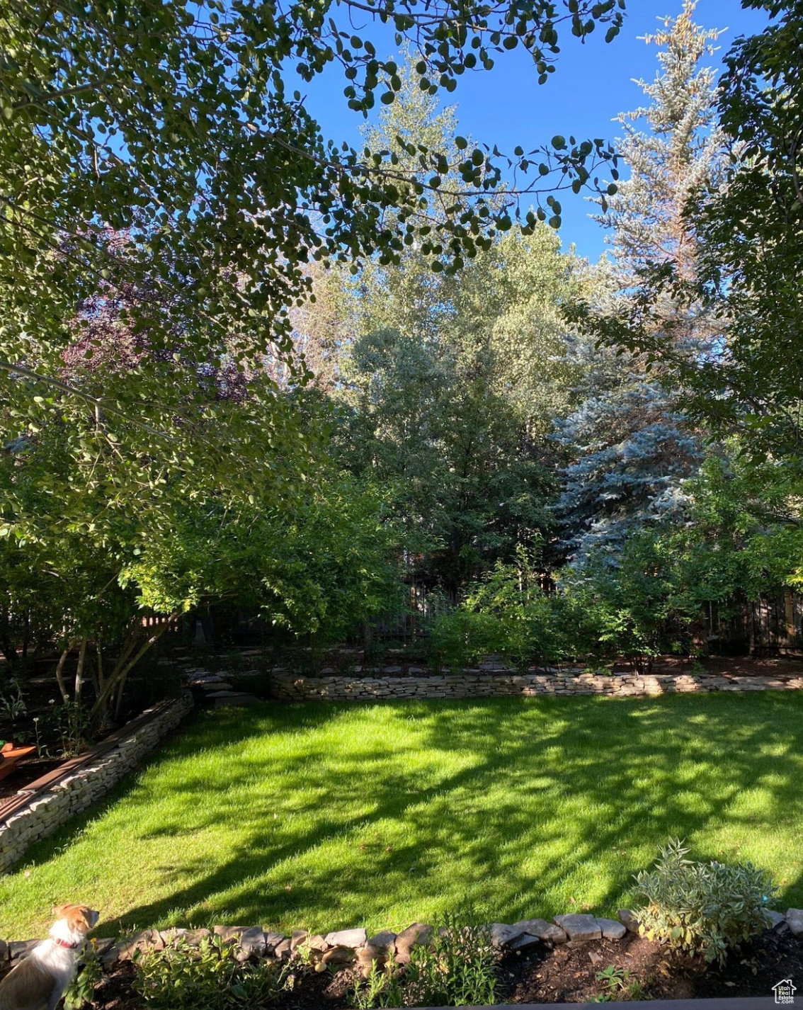 PARK MEADOWS SUBDIVISION - Residential