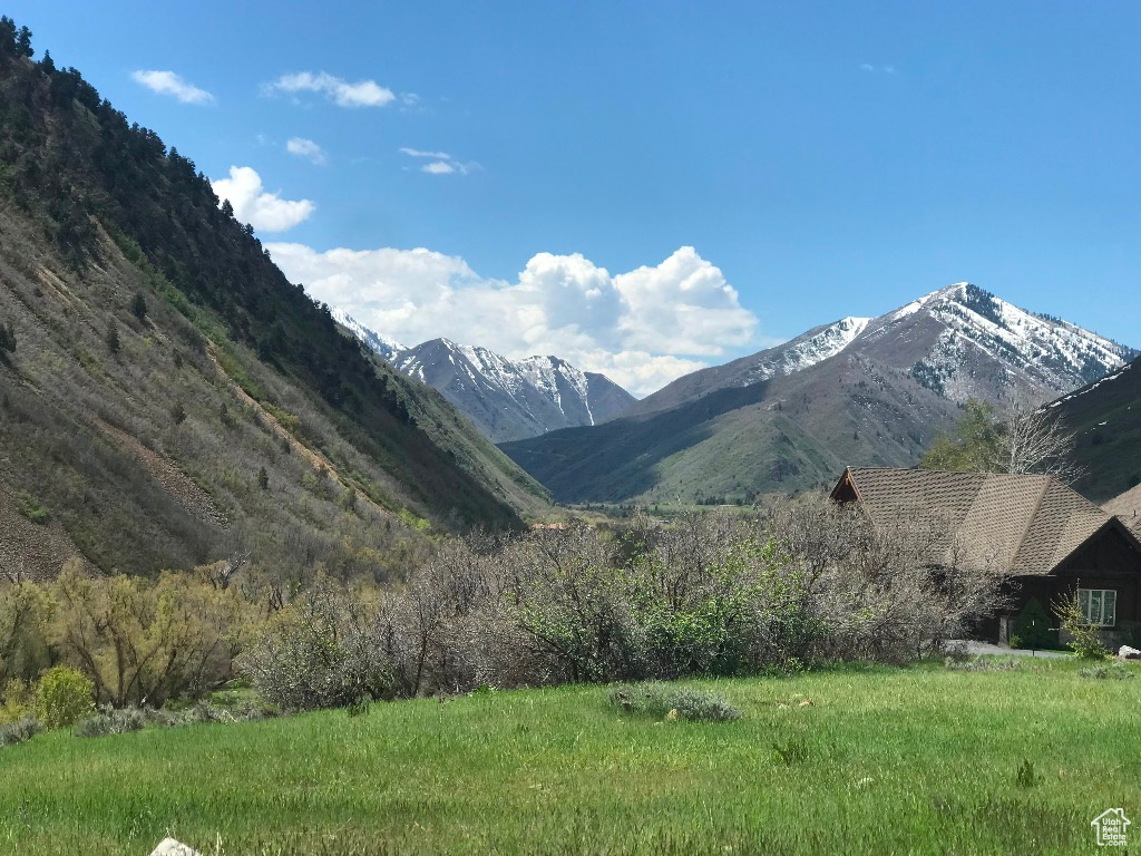 Would you like to wake up to this unobstructed mountain view every day? This stunning parcel has a gentle slope and backs up to common space and Hobble Creek. It is part of a gated mountain residential neighborhood. This is NOT recreational property.