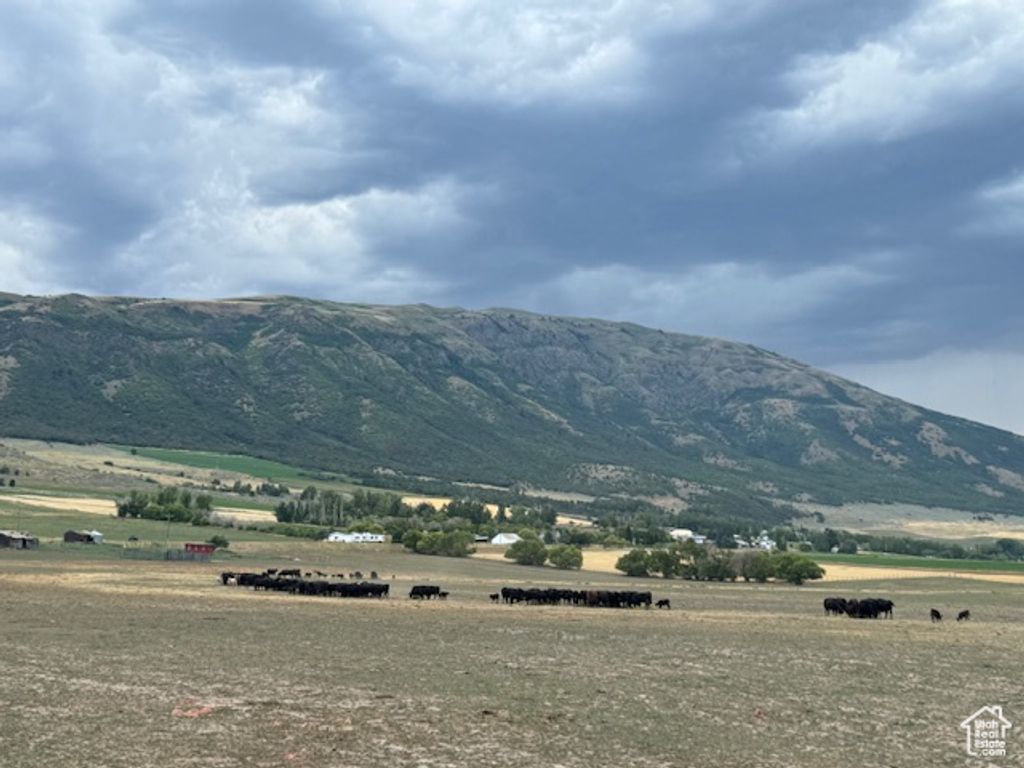 Photo of #9, Clifton, ID 83228 (MLS # 2118226)