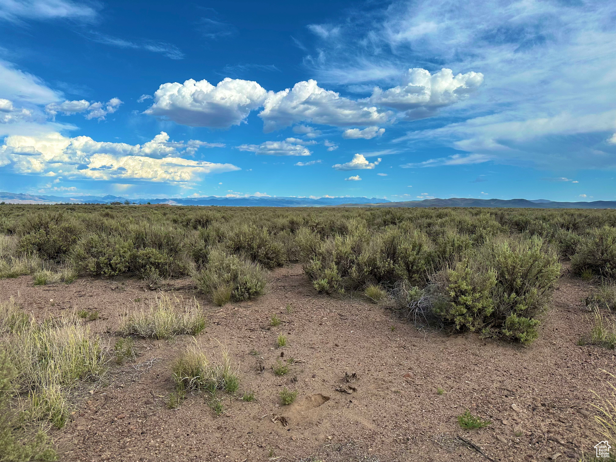 Land, Beryl, Utah image 14