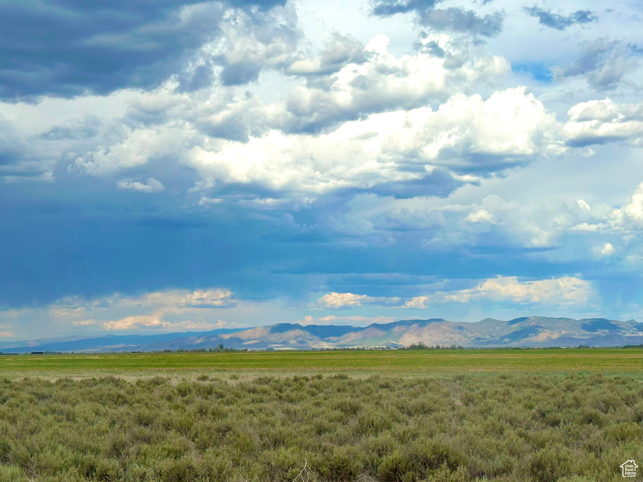 Land, Beryl, Utah image 6