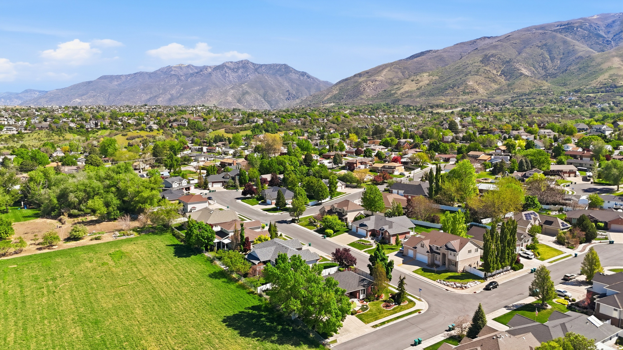 WILLOW HAVEN ESTATES - Residential