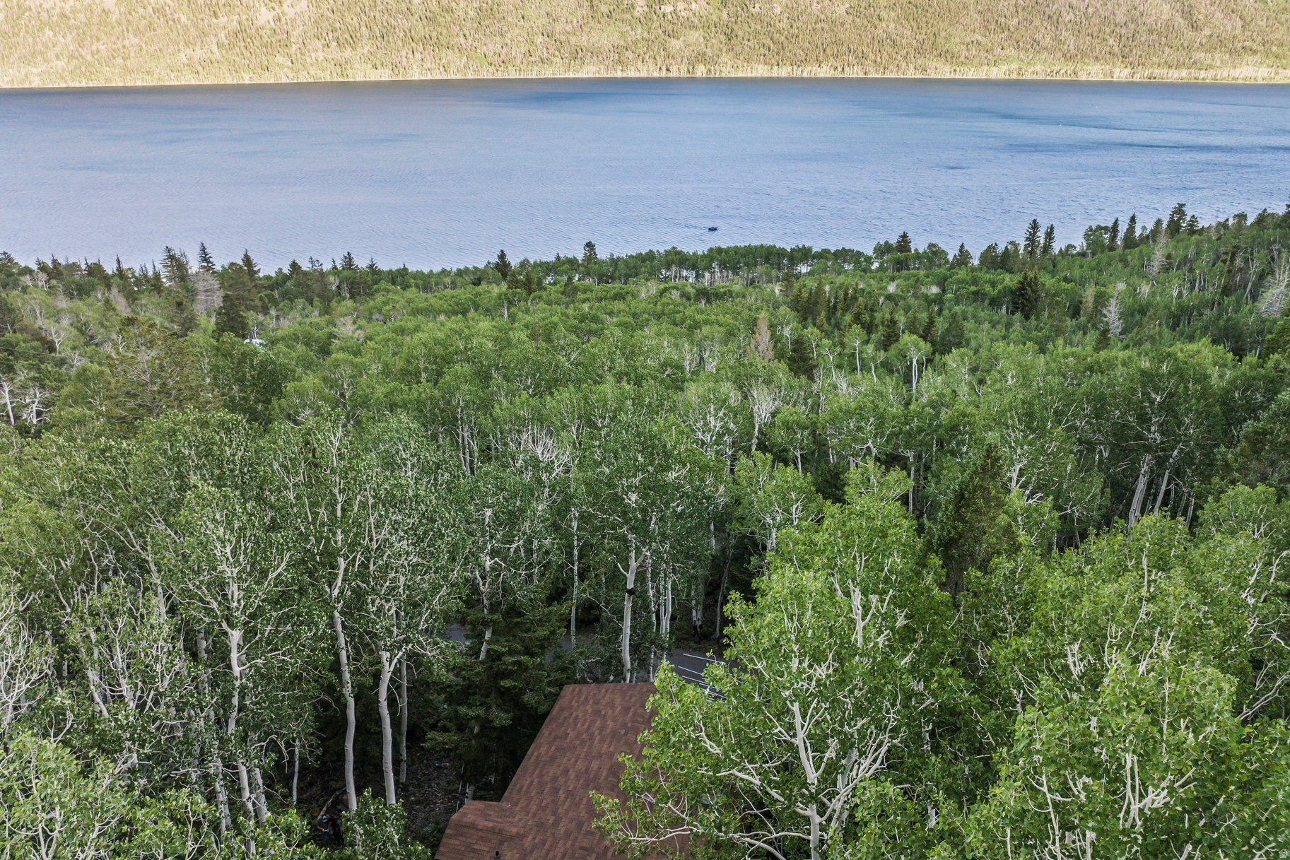 ASPEN HEART SUMMER HOMES - Residential