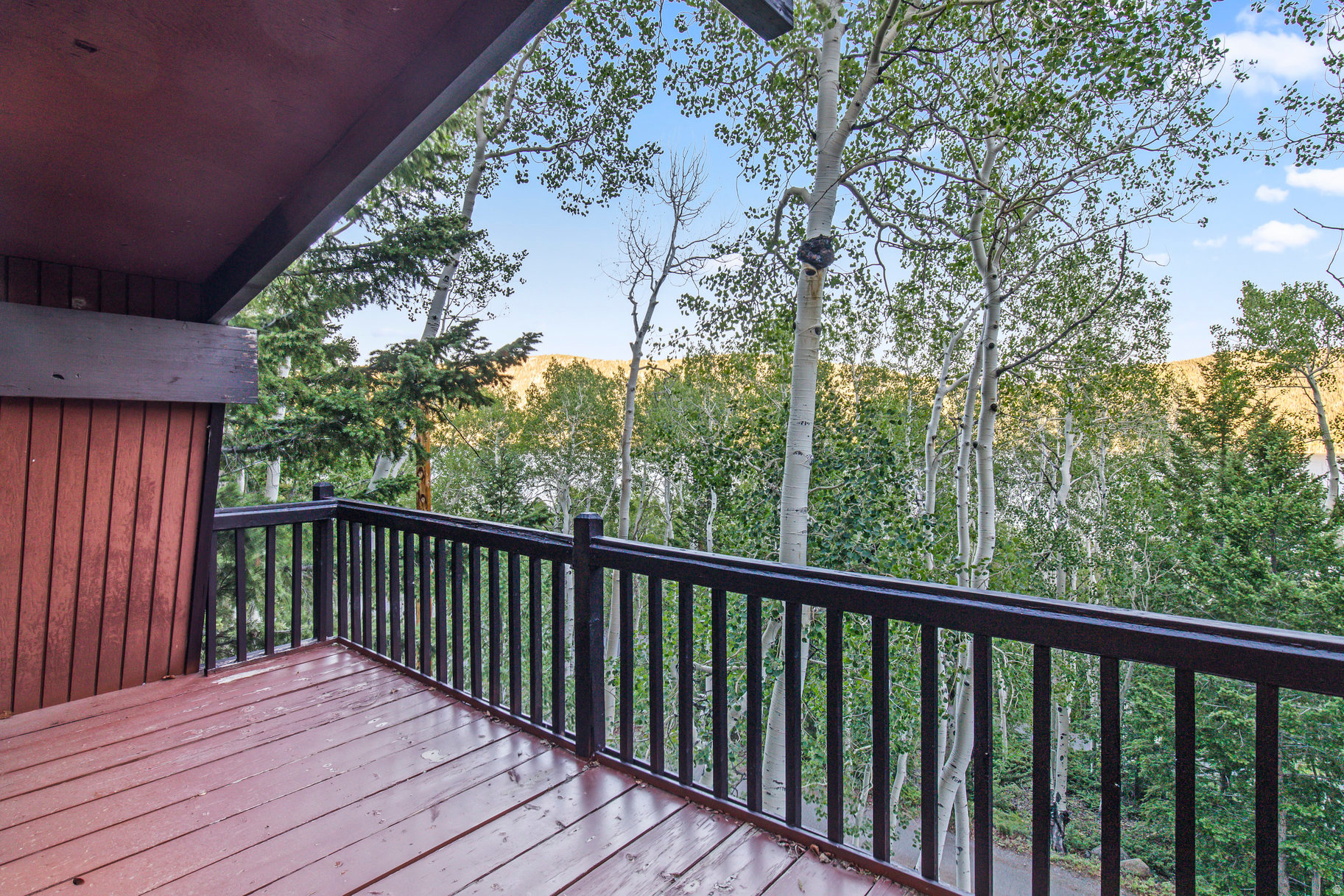 ASPEN HEART SUMMER HOMES - Residential