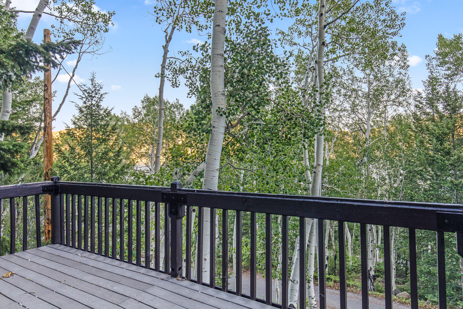 ASPEN HEART SUMMER HOMES - Residential