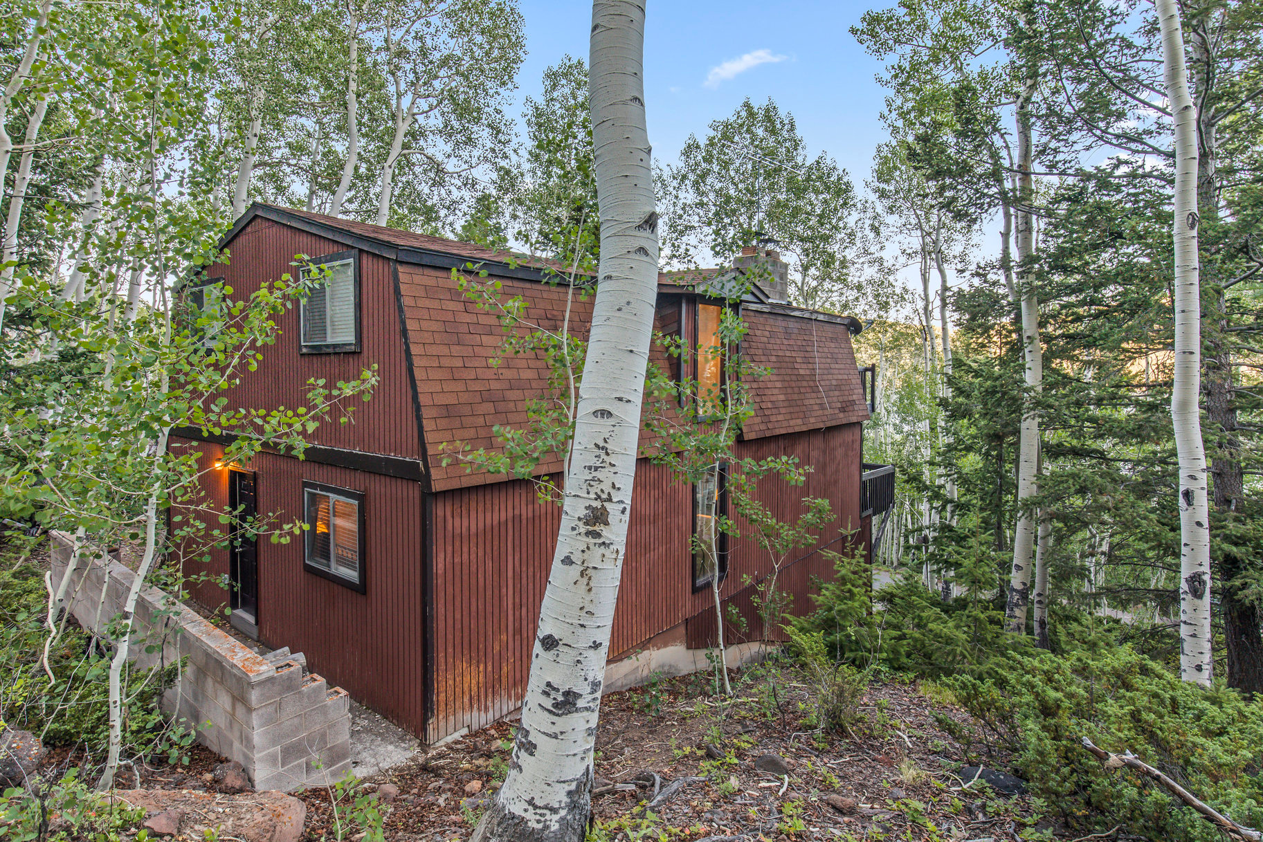 ASPEN HEART SUMMER HOMES - Residential