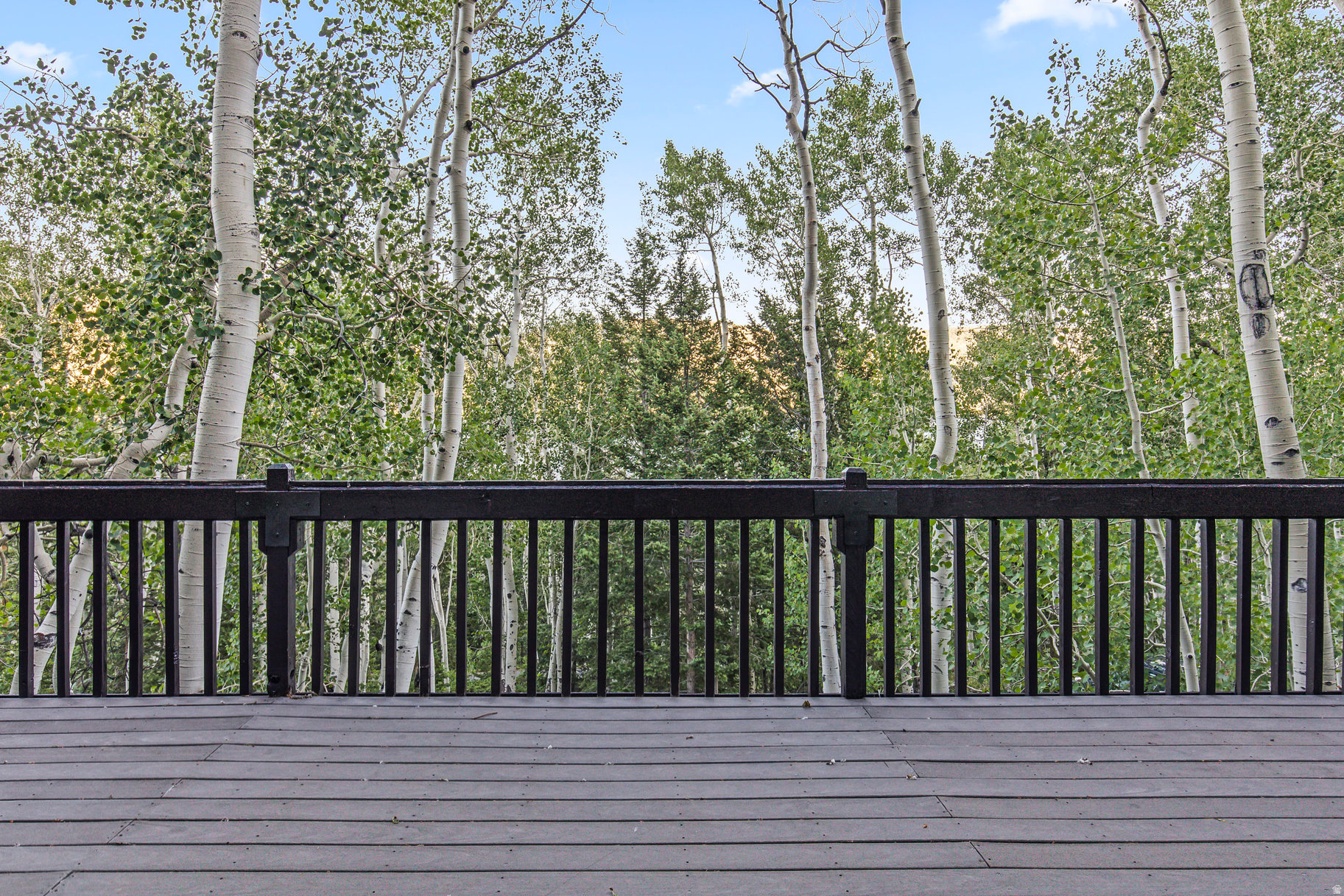 ASPEN HEART SUMMER HOMES - Residential
