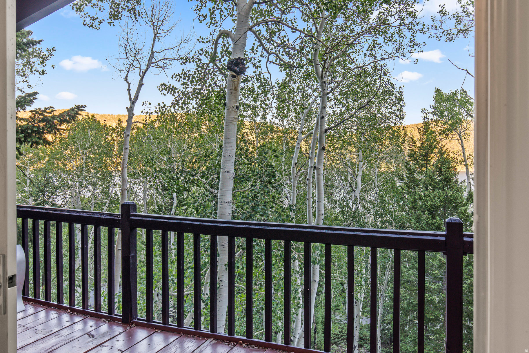 ASPEN HEART SUMMER HOMES - Residential