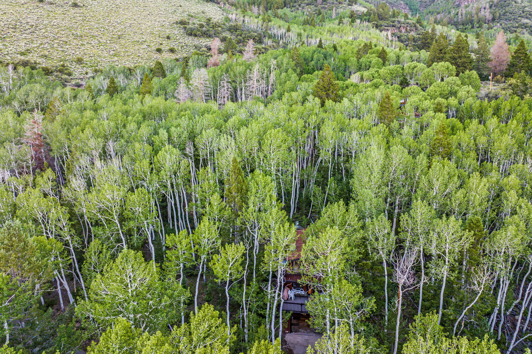 ASPEN HEART SUMMER HOMES - Residential
