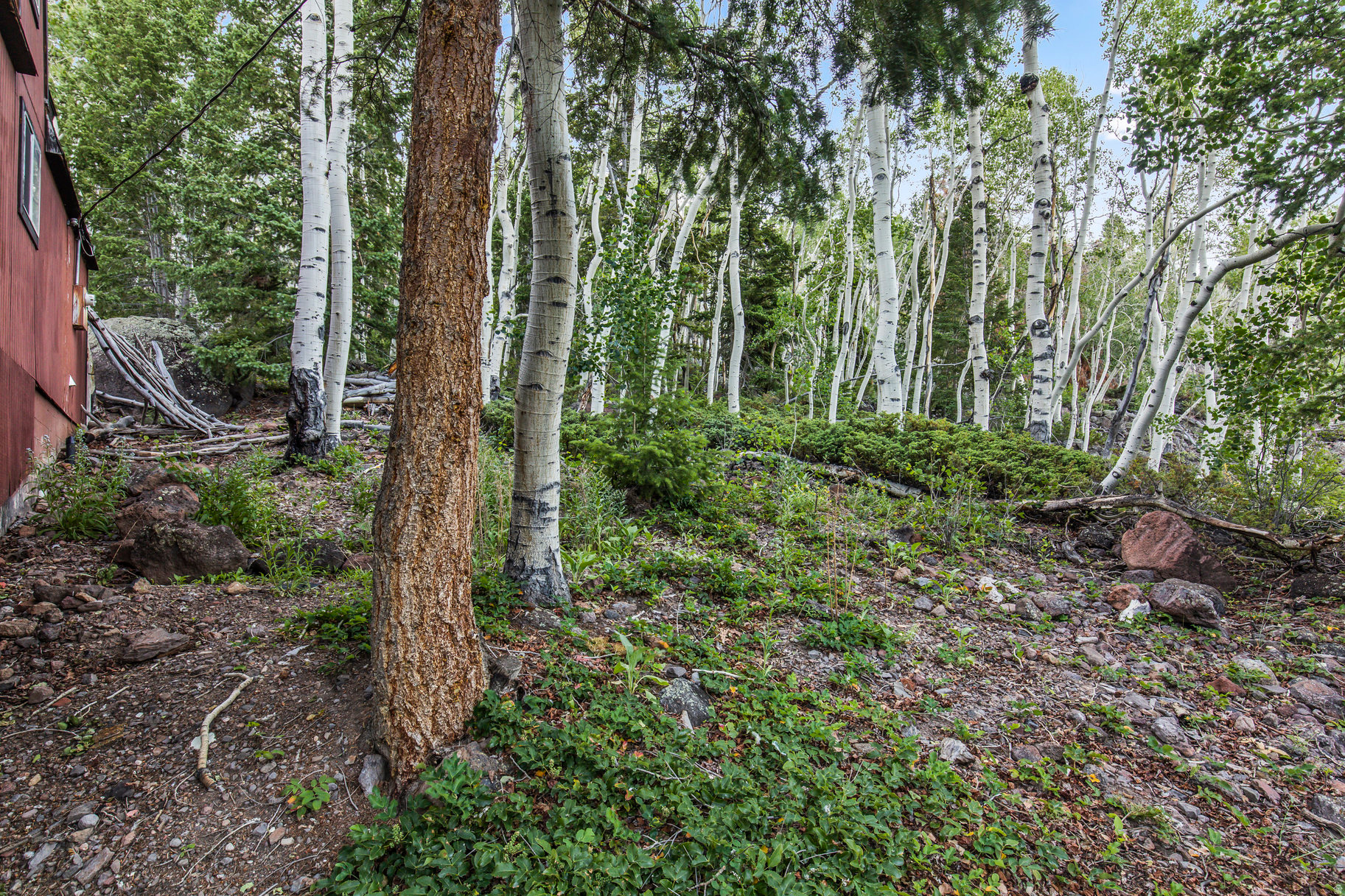 ASPEN HEART SUMMER HOMES - Residential