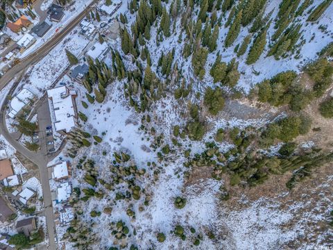 Tiny photo for 9840 S MARTHA RD, Alta, UT 84092 (MLS # 1969045)