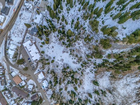 Tiny photo for 9840 S MARTHA RD, Alta, UT 84092 (MLS # 1969045)