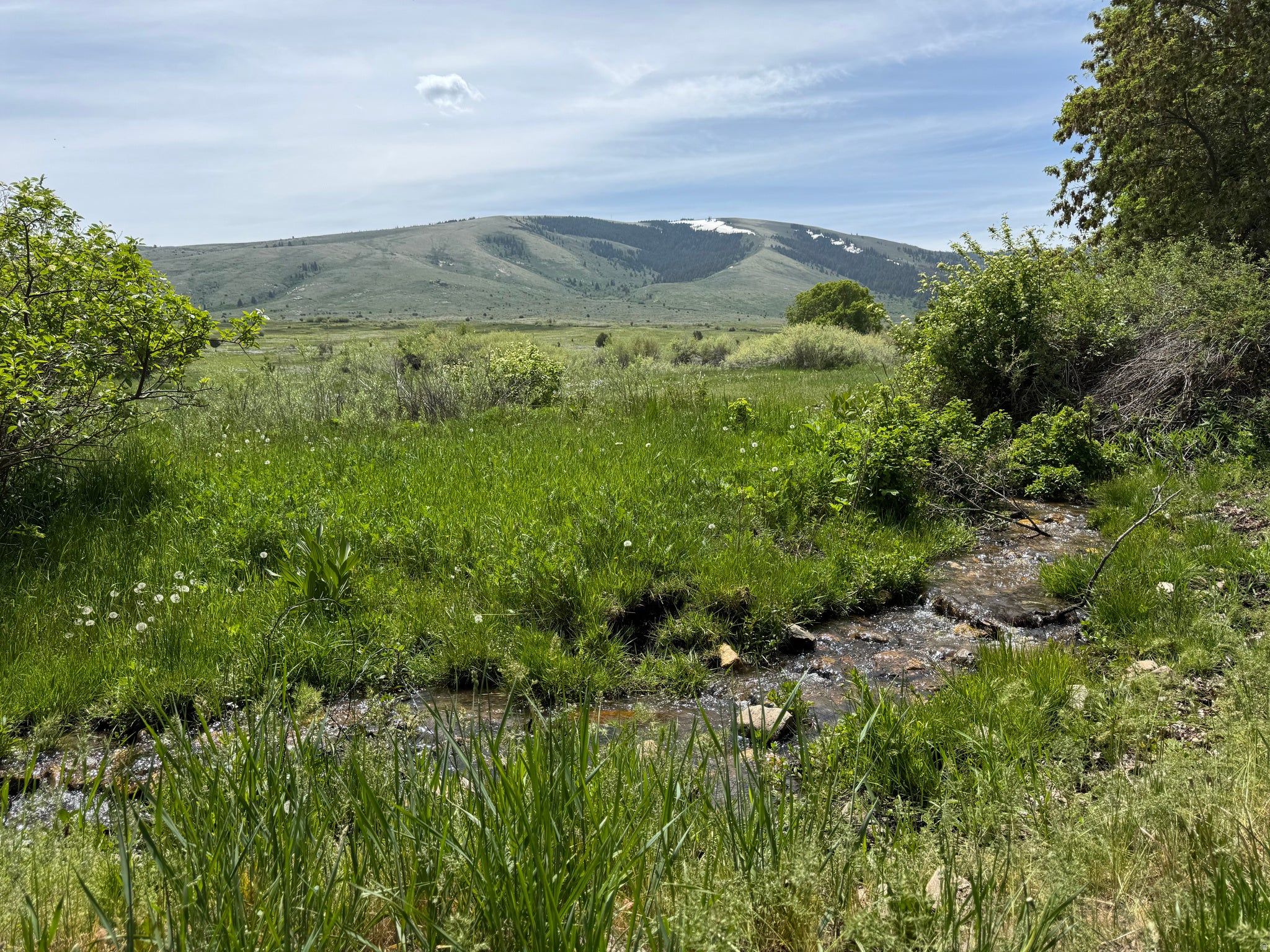 1200 S LANDS CREEK RD E