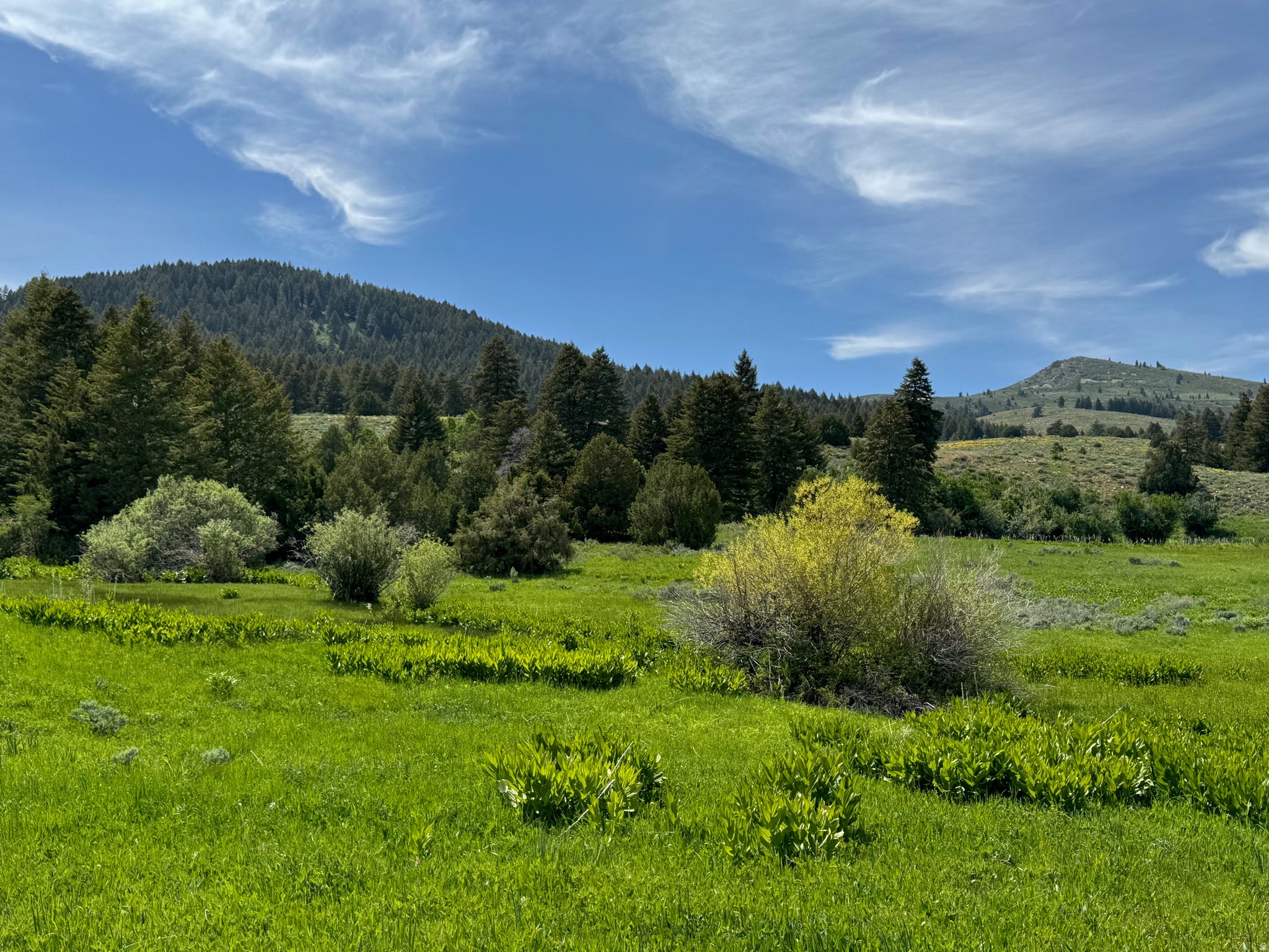 1200 S LANDS CREEK RD E