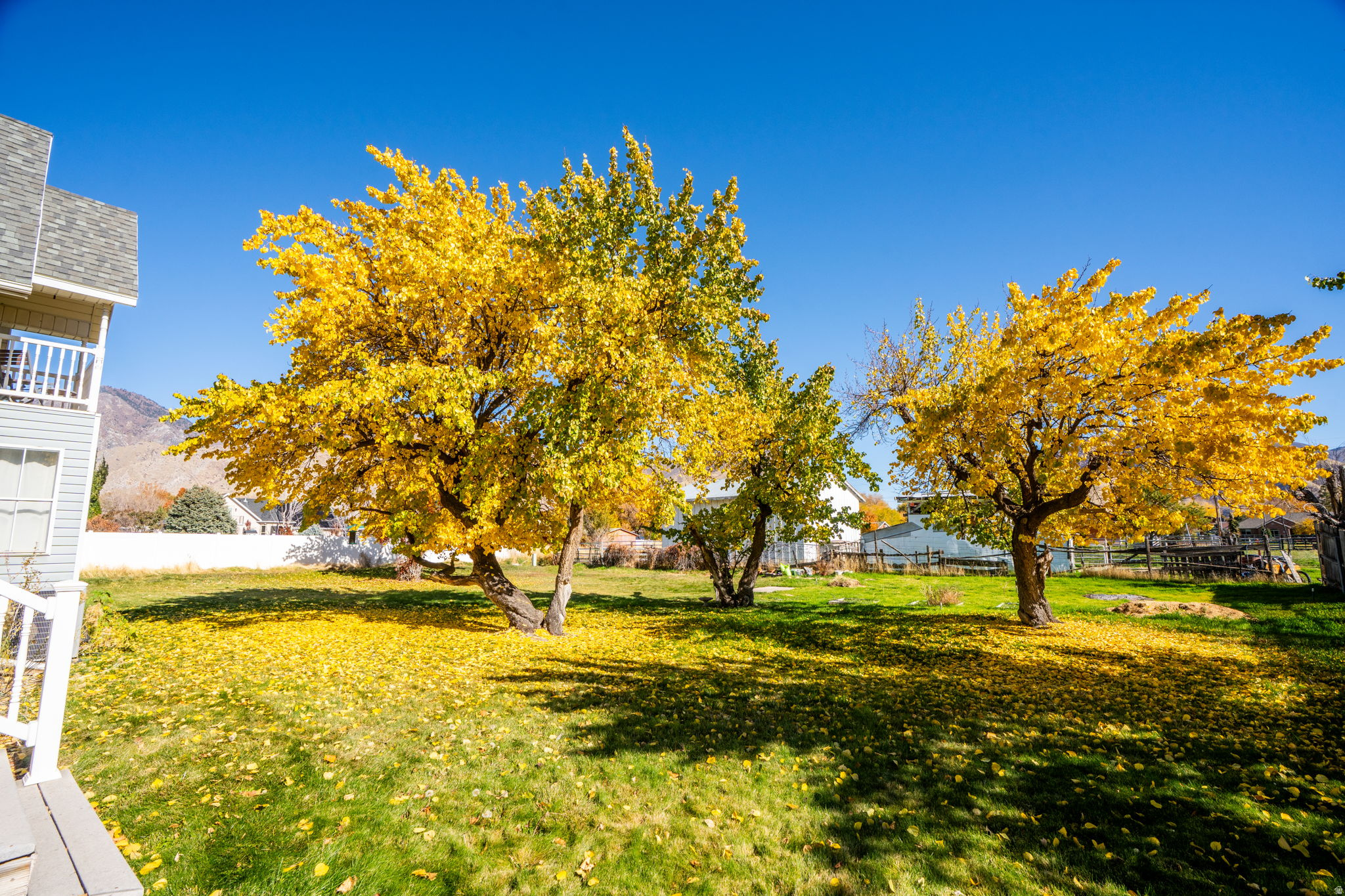 MAPLE BREEZE - Residential