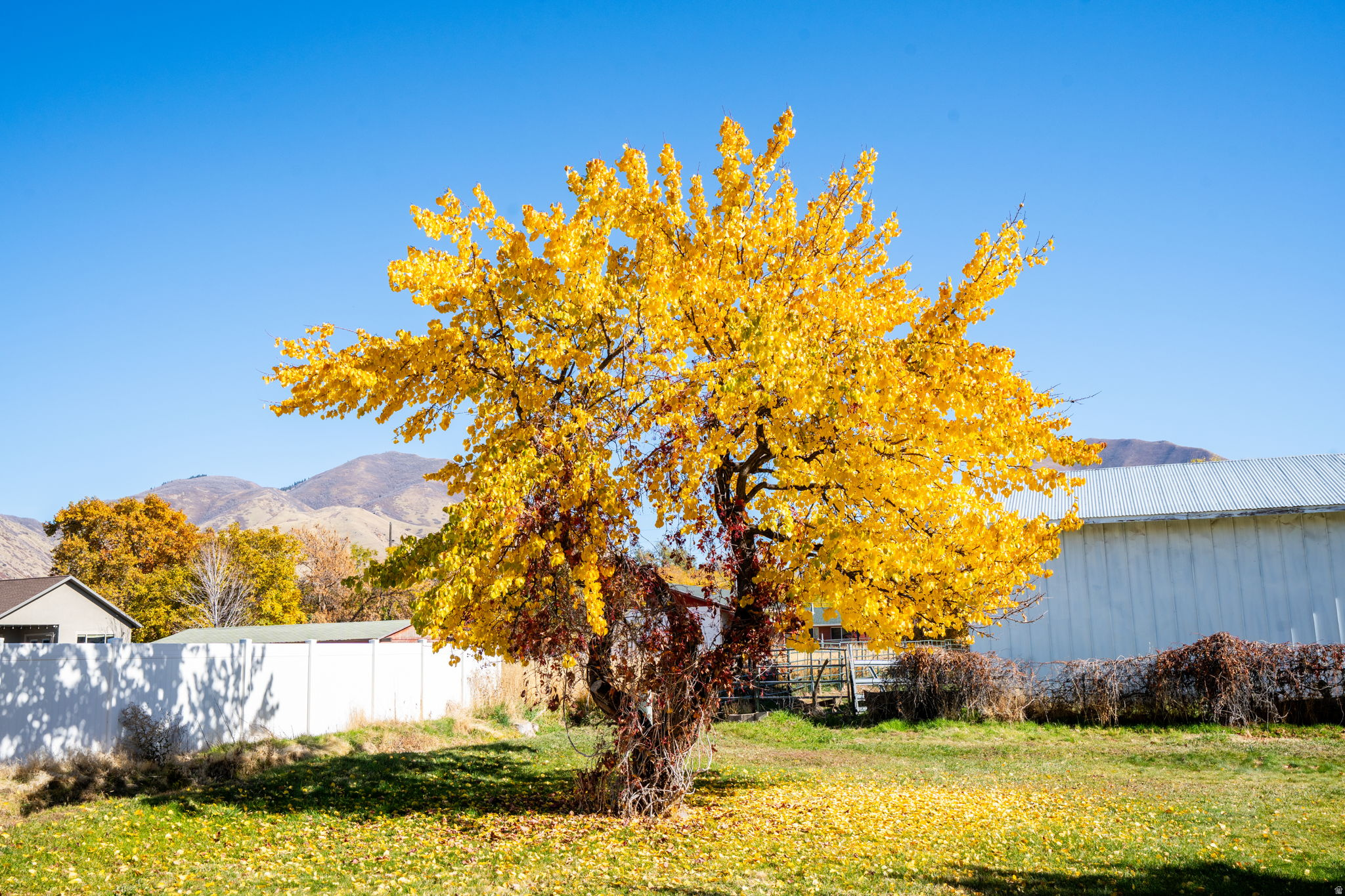 MAPLE BREEZE - Residential