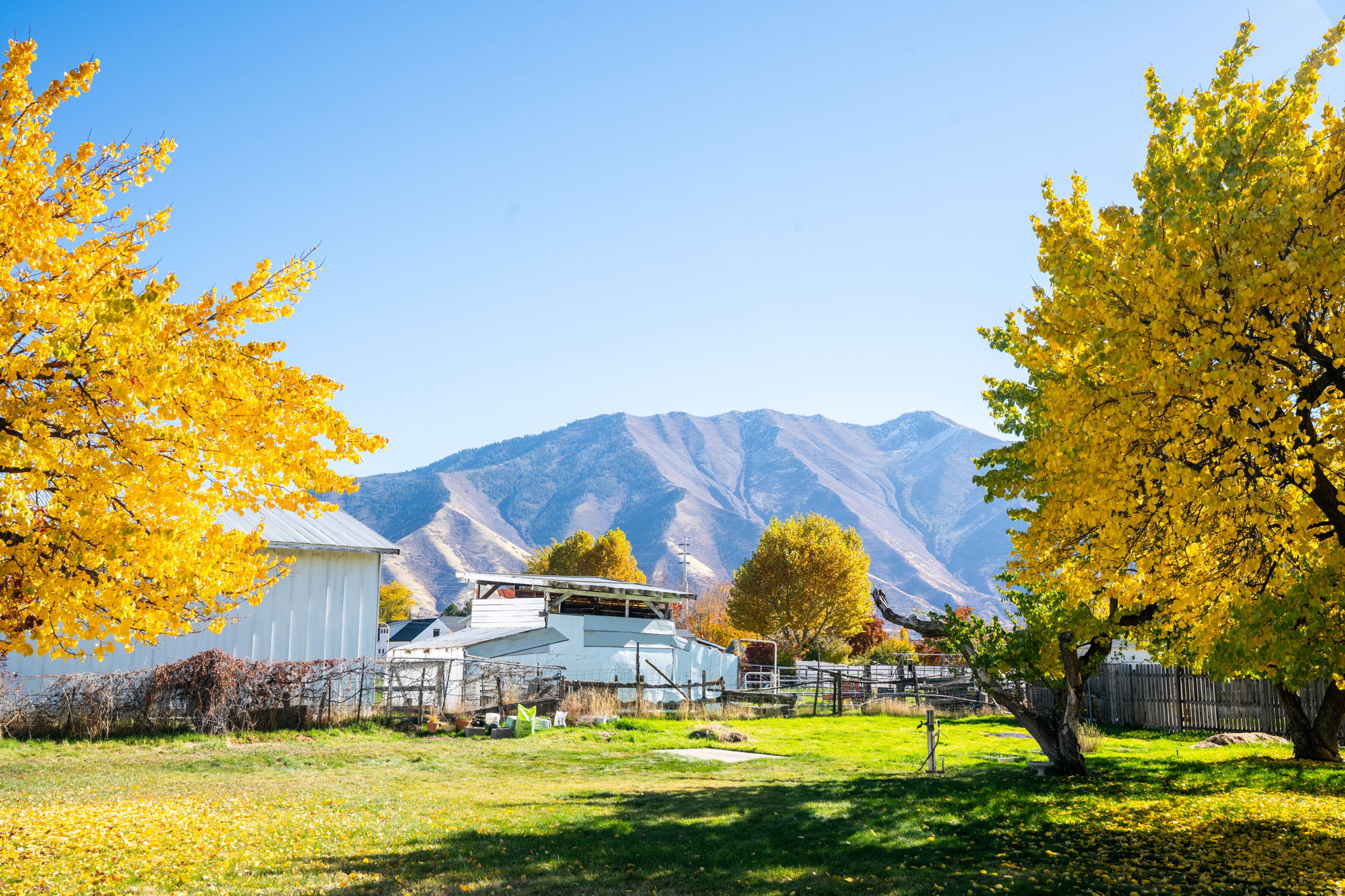 MAPLE BREEZE - Residential