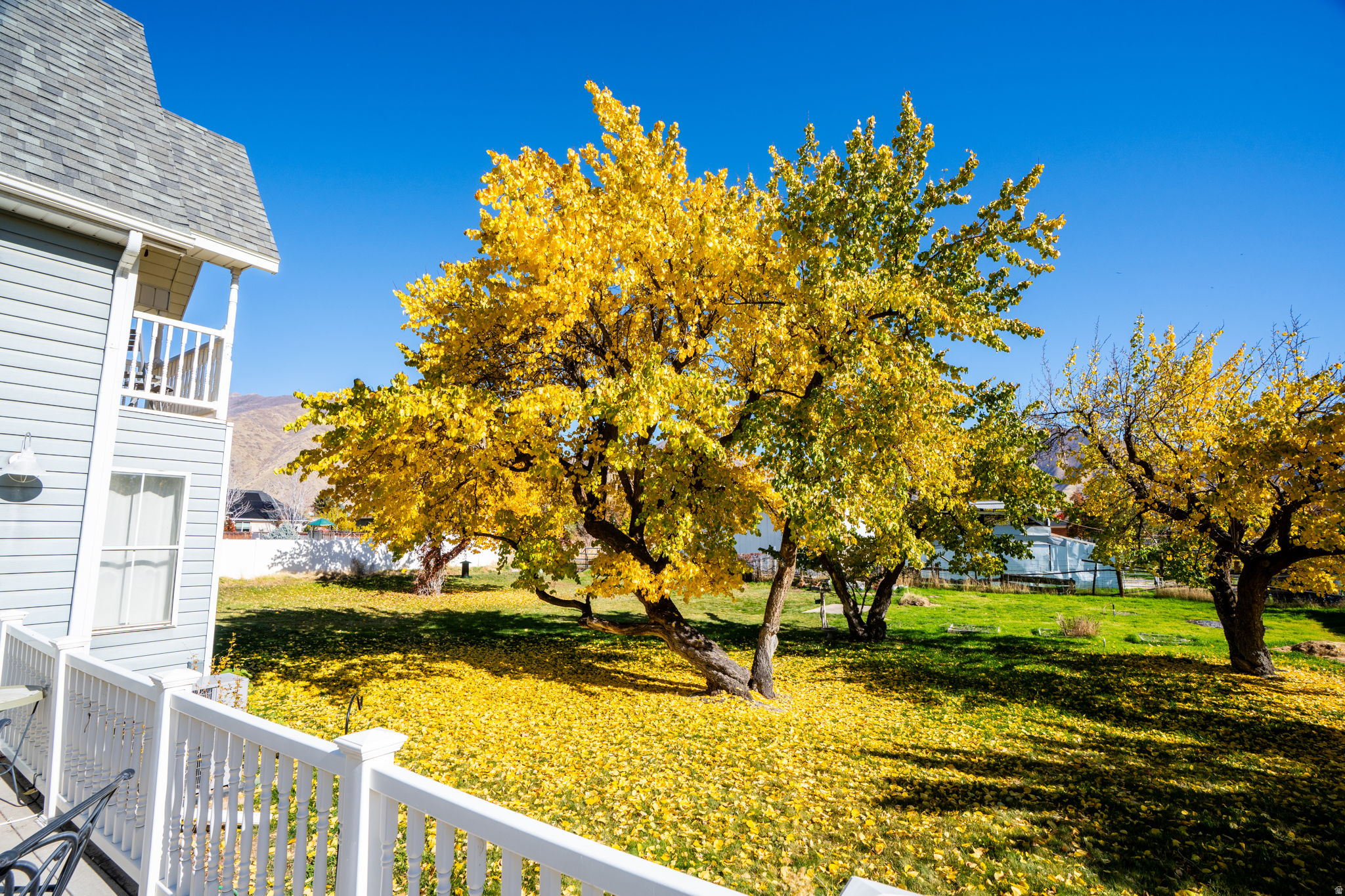 MAPLE BREEZE - Residential