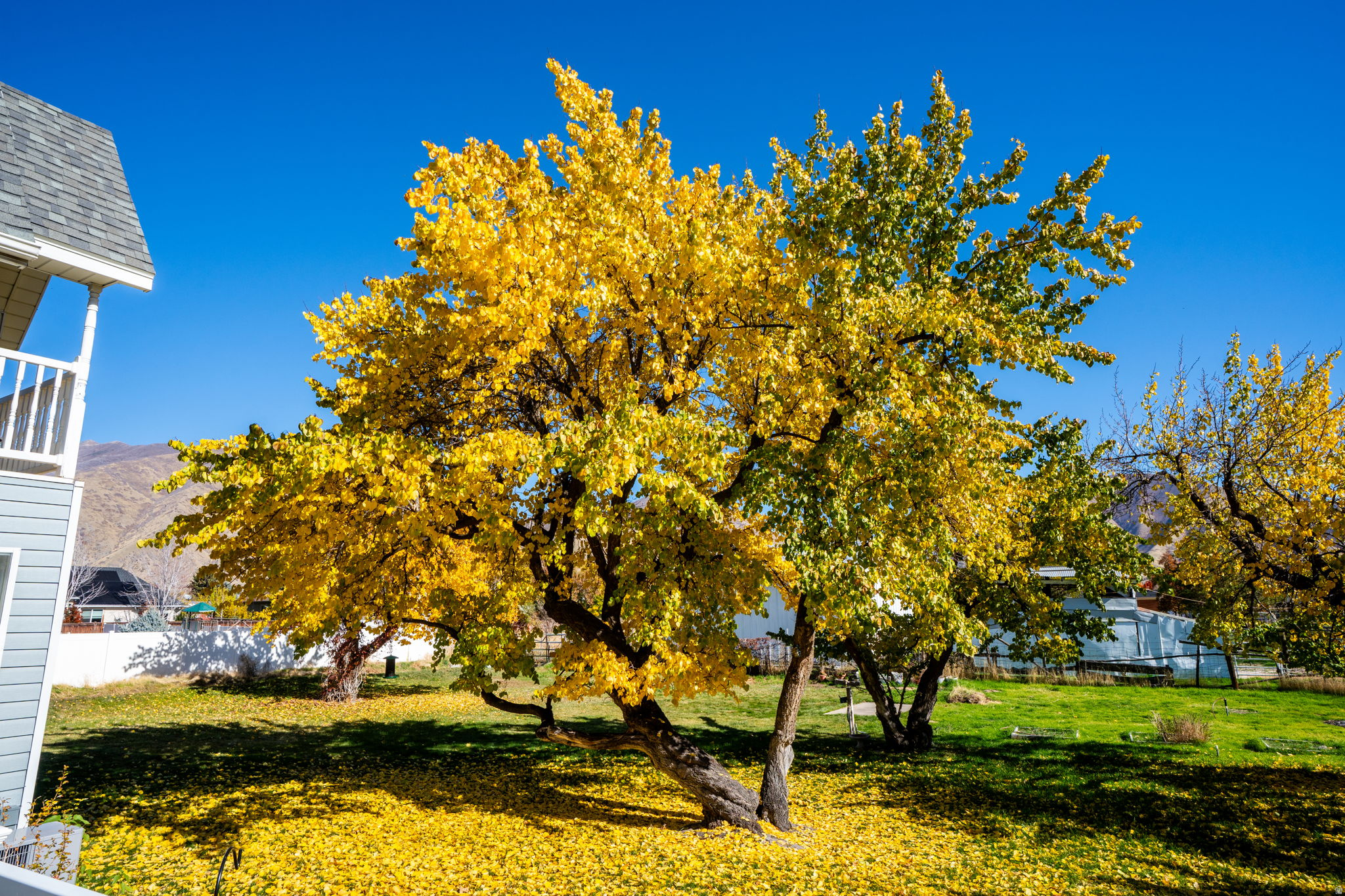 MAPLE BREEZE - Residential