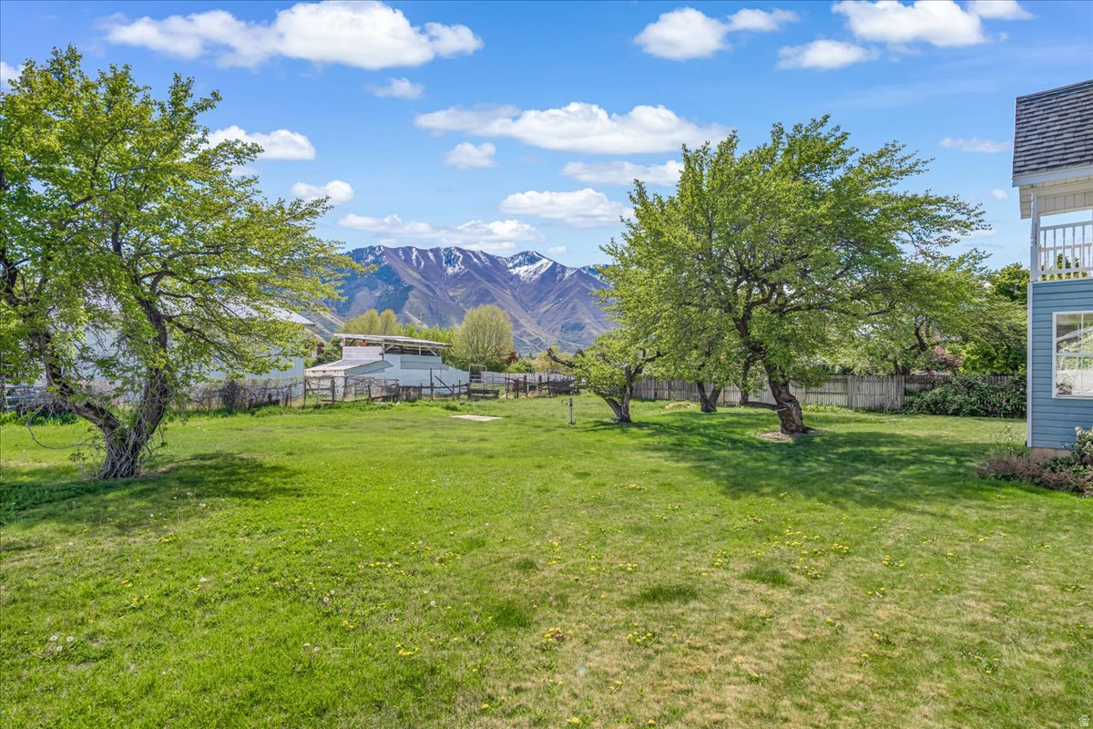 MAPLE BREEZE - Residential