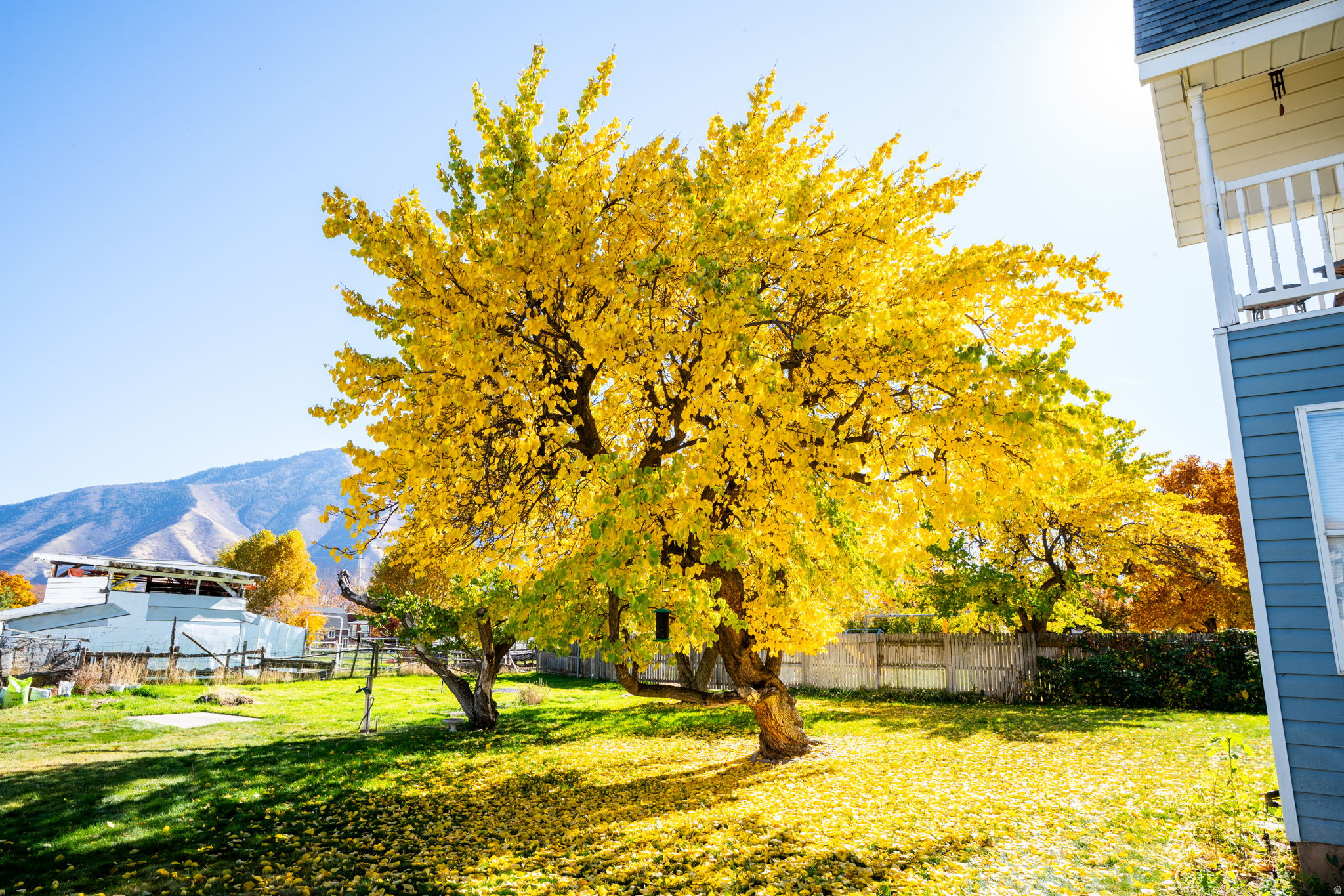 MAPLE BREEZE - Residential