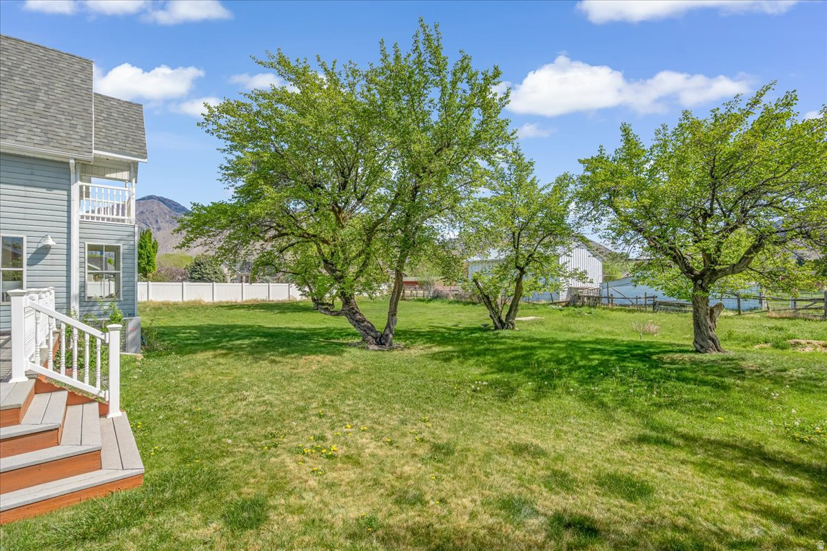 MAPLE BREEZE - Residential