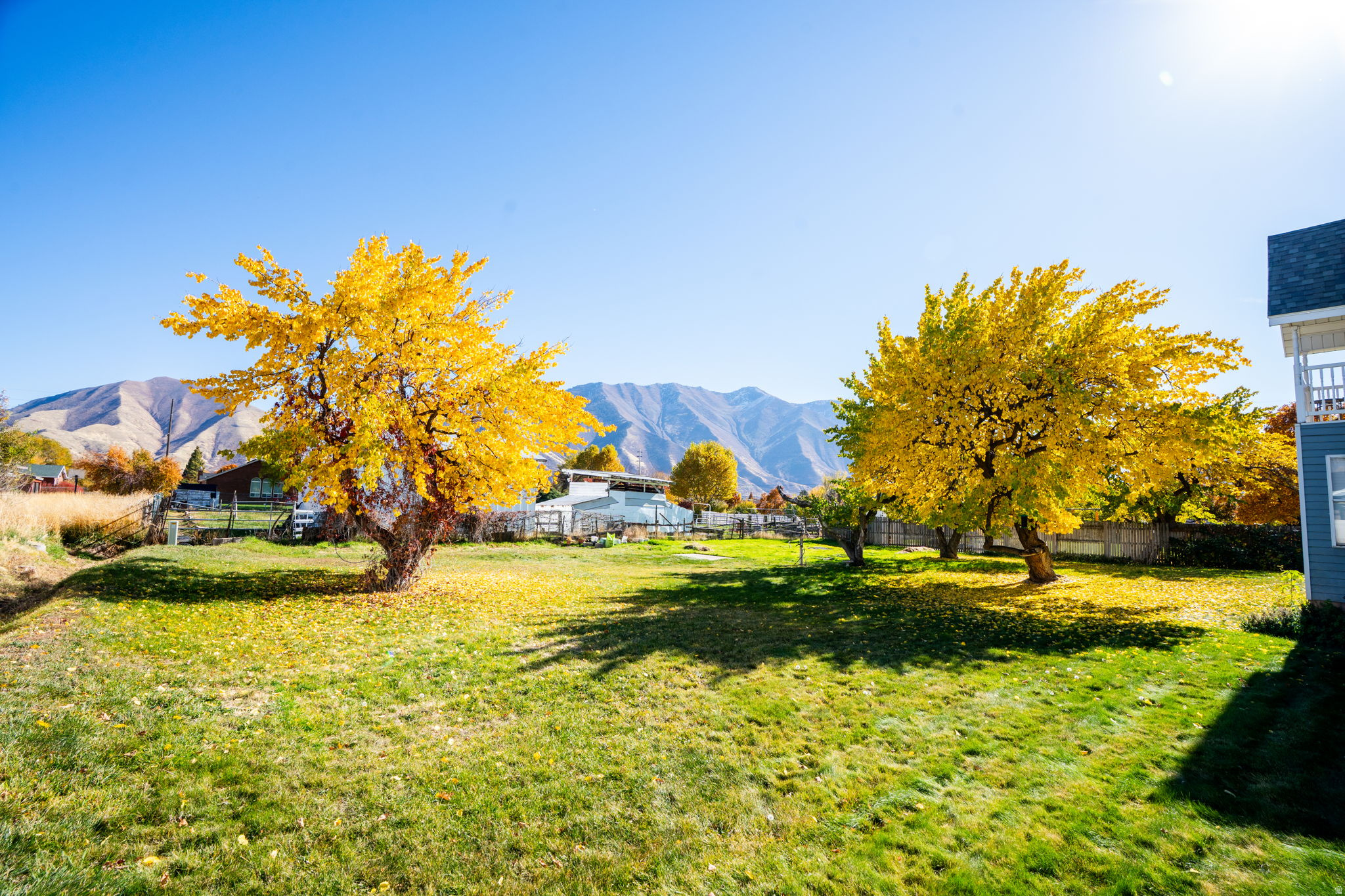 MAPLE BREEZE - Residential