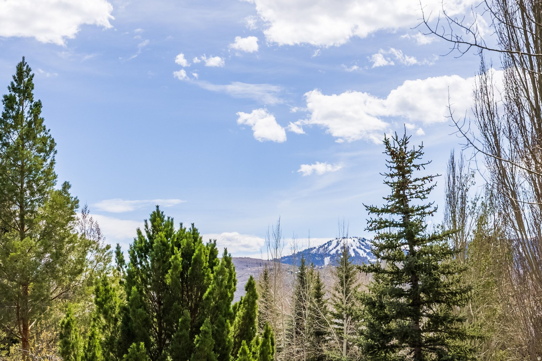 COVE AT EAGLE MOUNTAIN - Residential