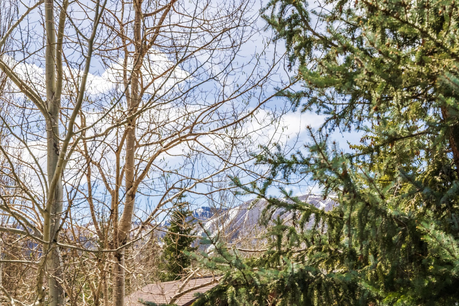 COVE AT EAGLE MOUNTAIN - Residential