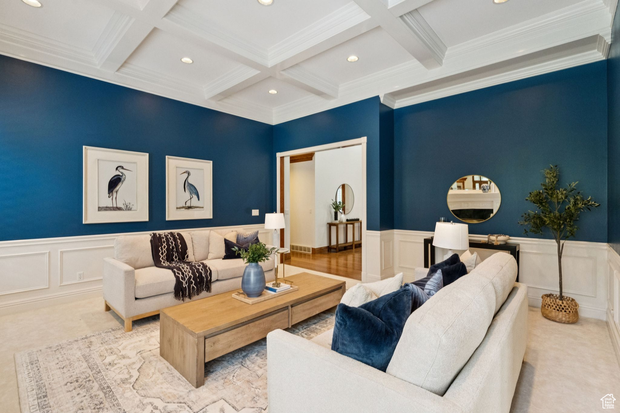 SHENANDOAH - Residential