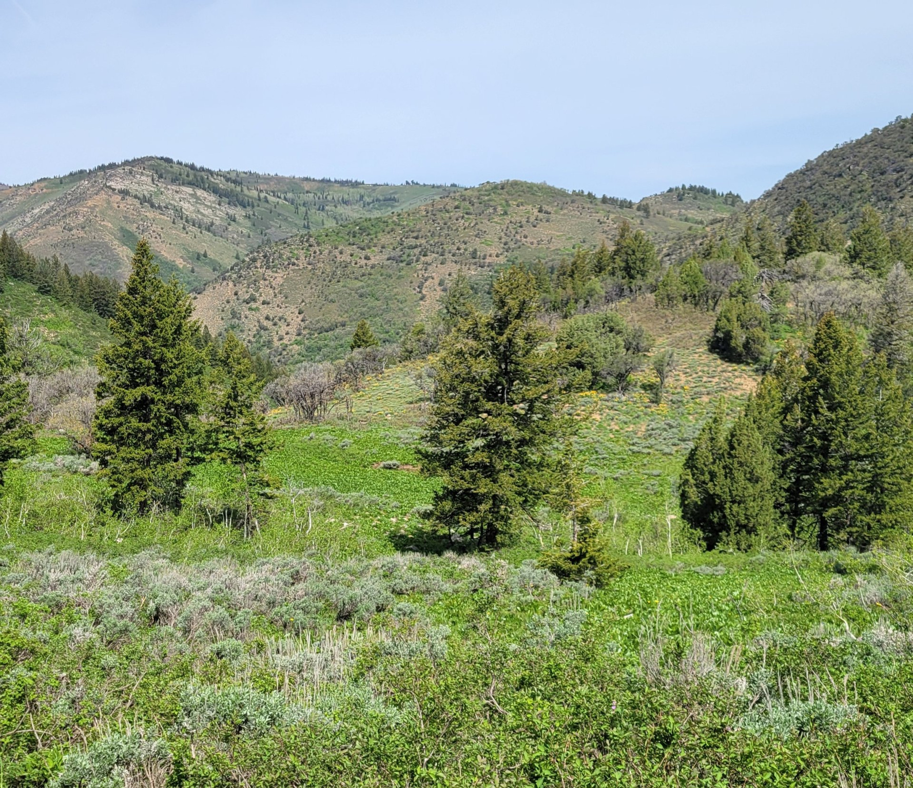 SUNRIDGE - Land