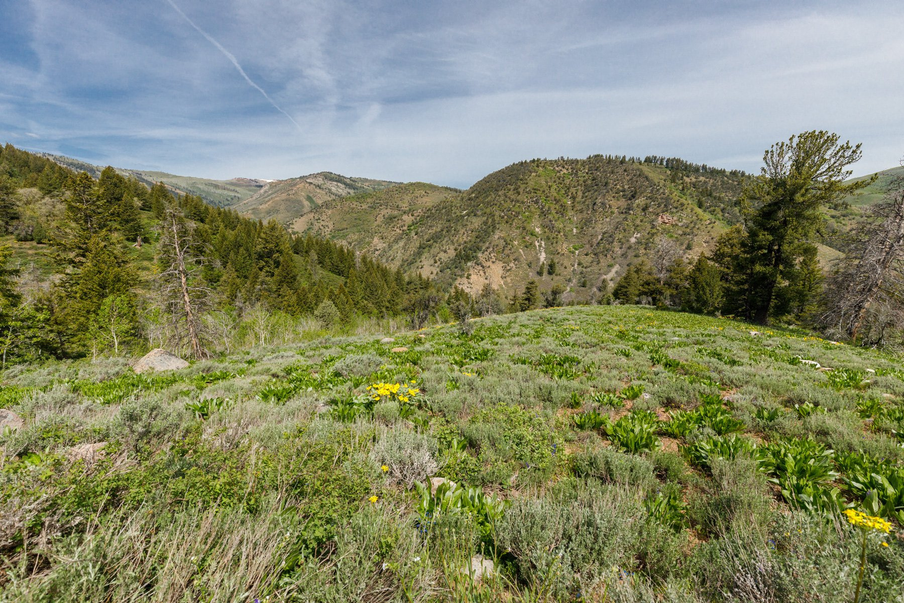 SUNRIDGE - Land