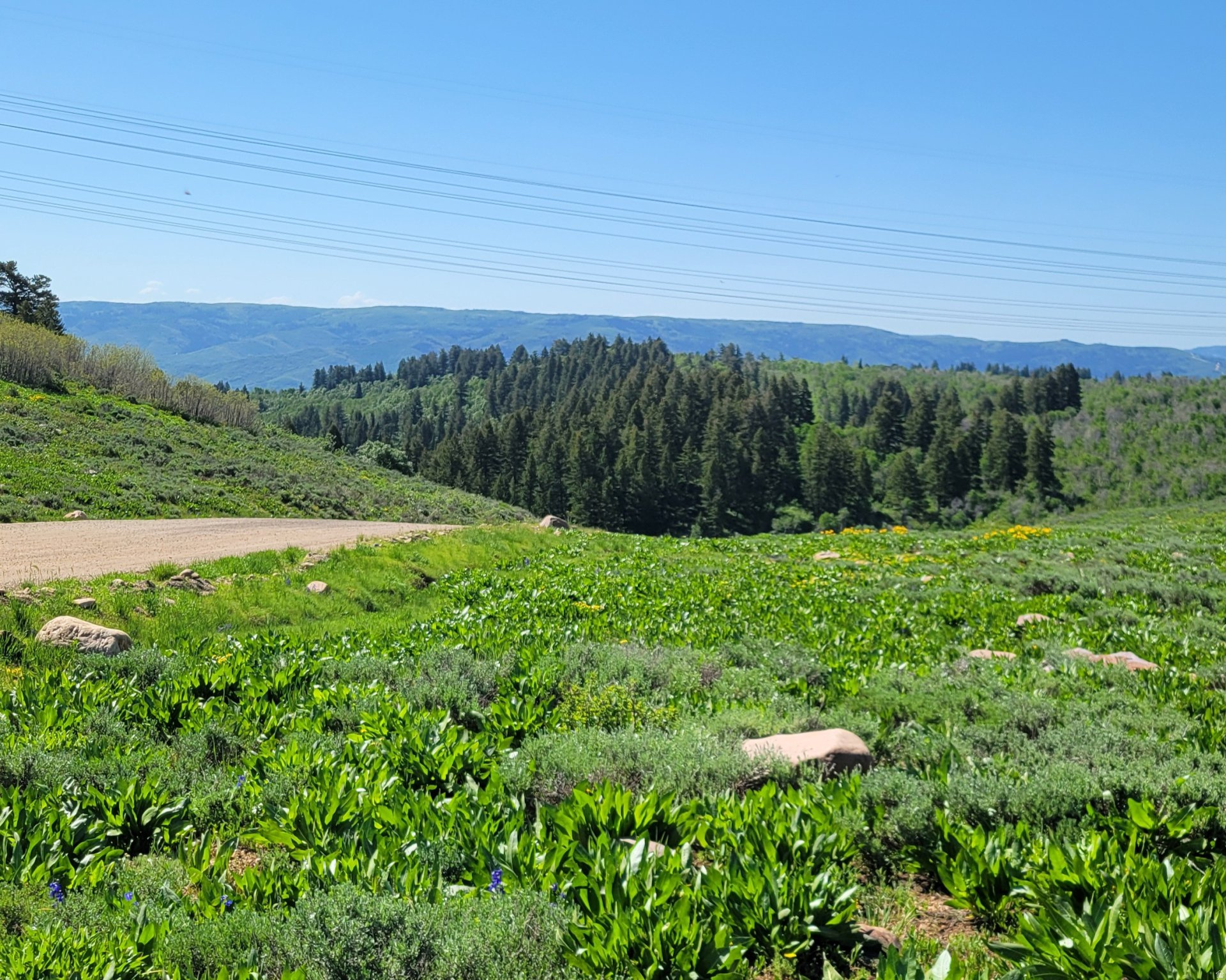 SUNRIDGE - Land