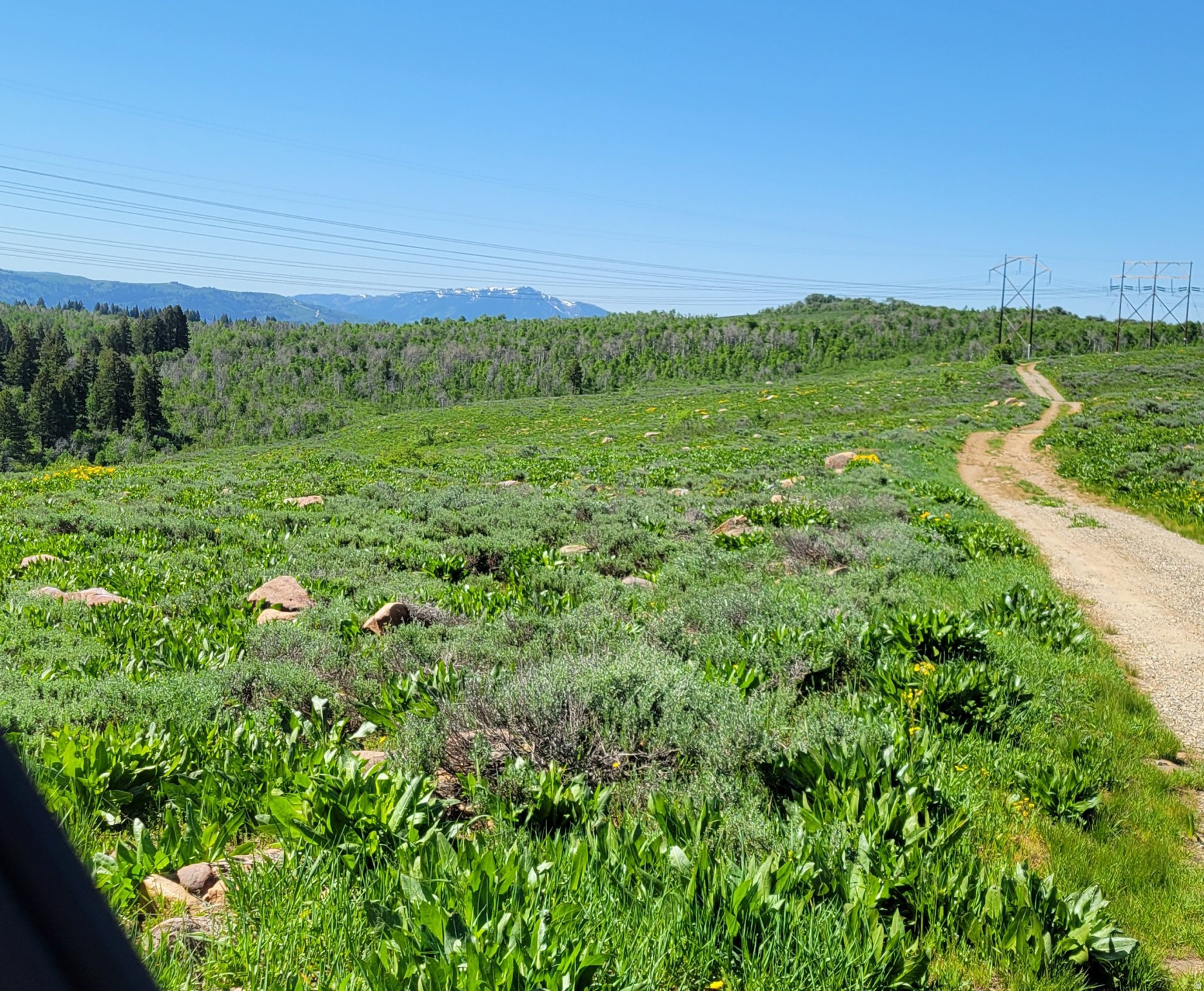 SUNRIDGE - Land