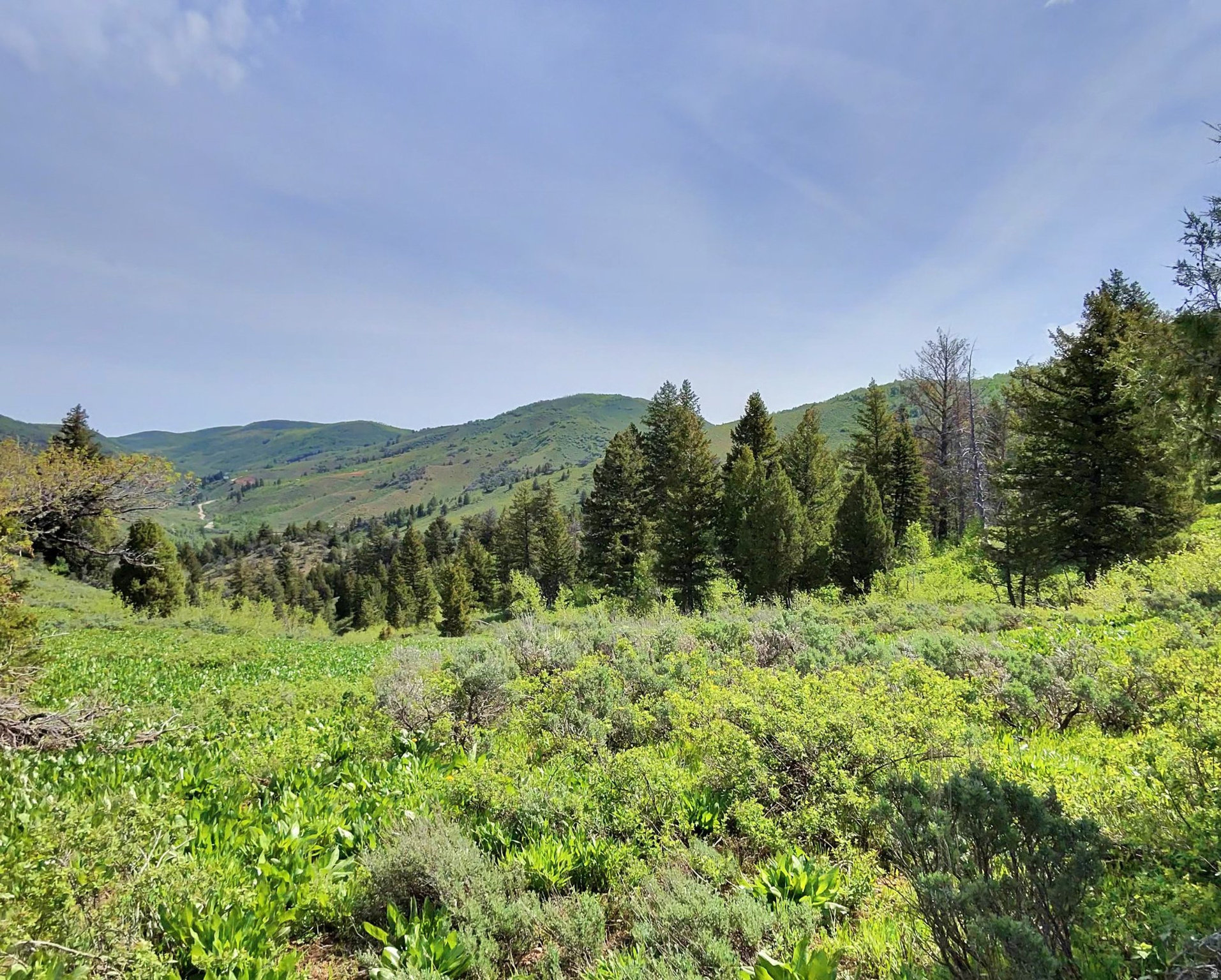 SUNRIDGE - Land
