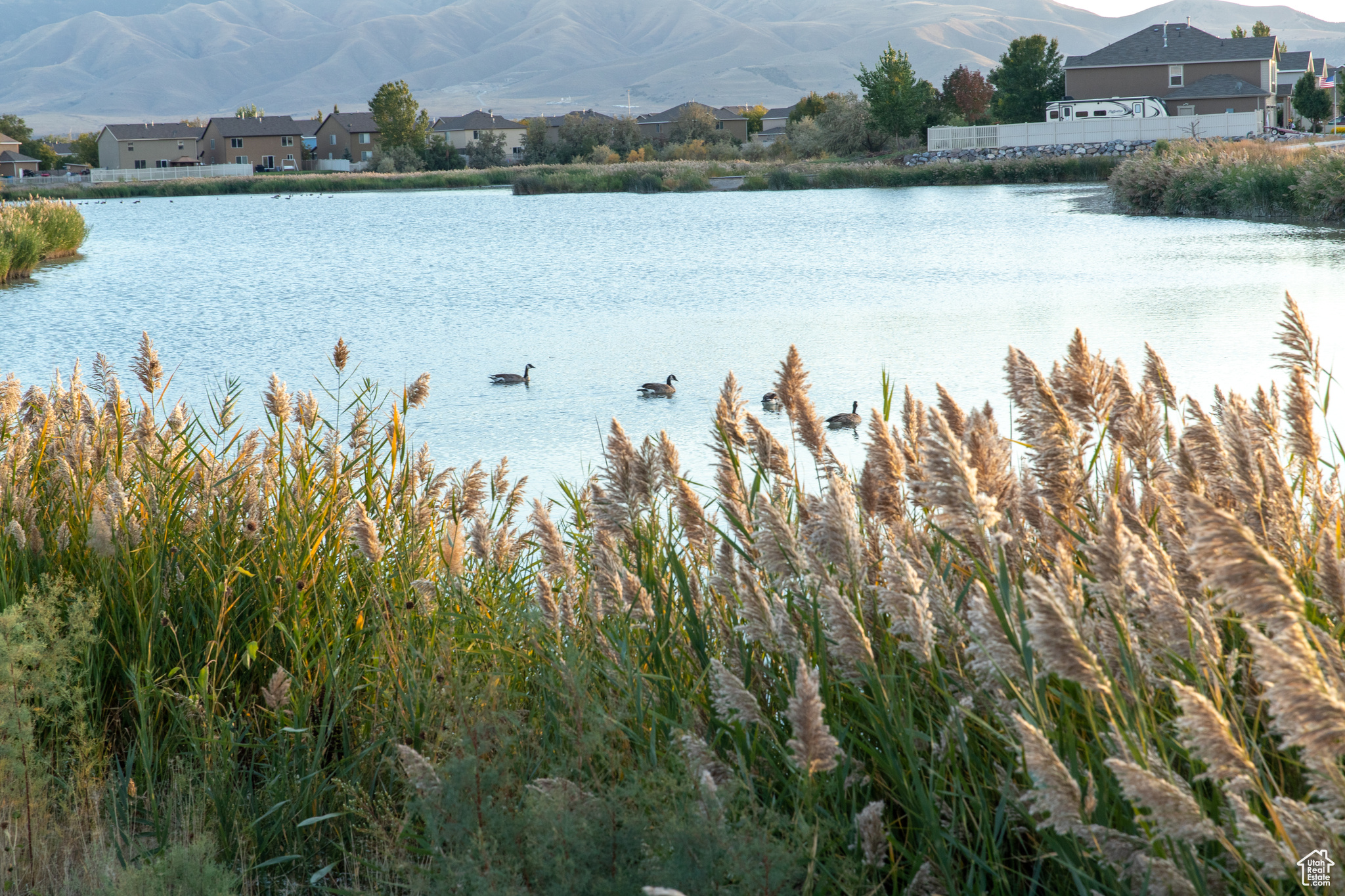 3890 W 970 St #334, Lehi, Utah image 9