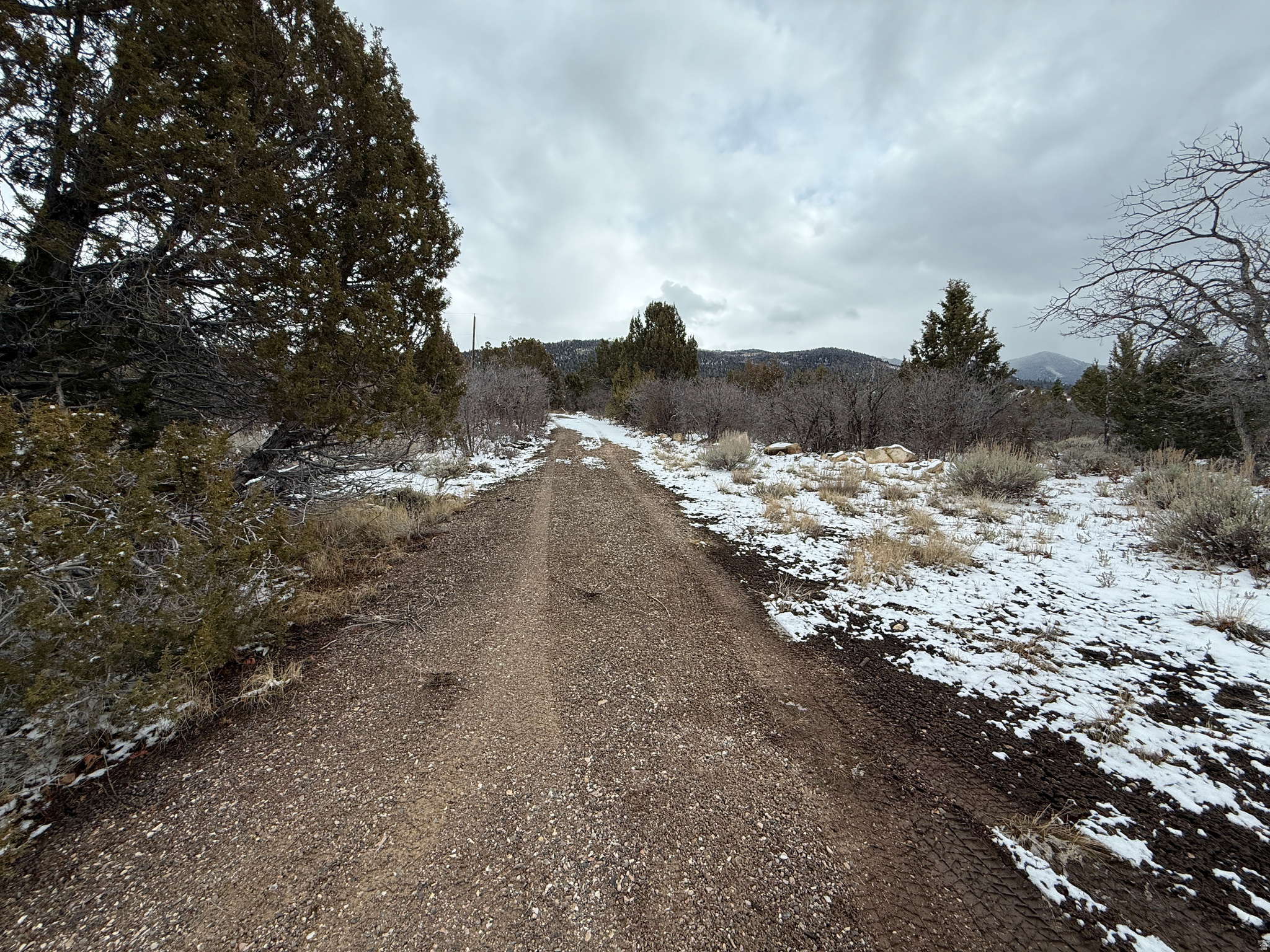 WHISPERING PINES III - Land