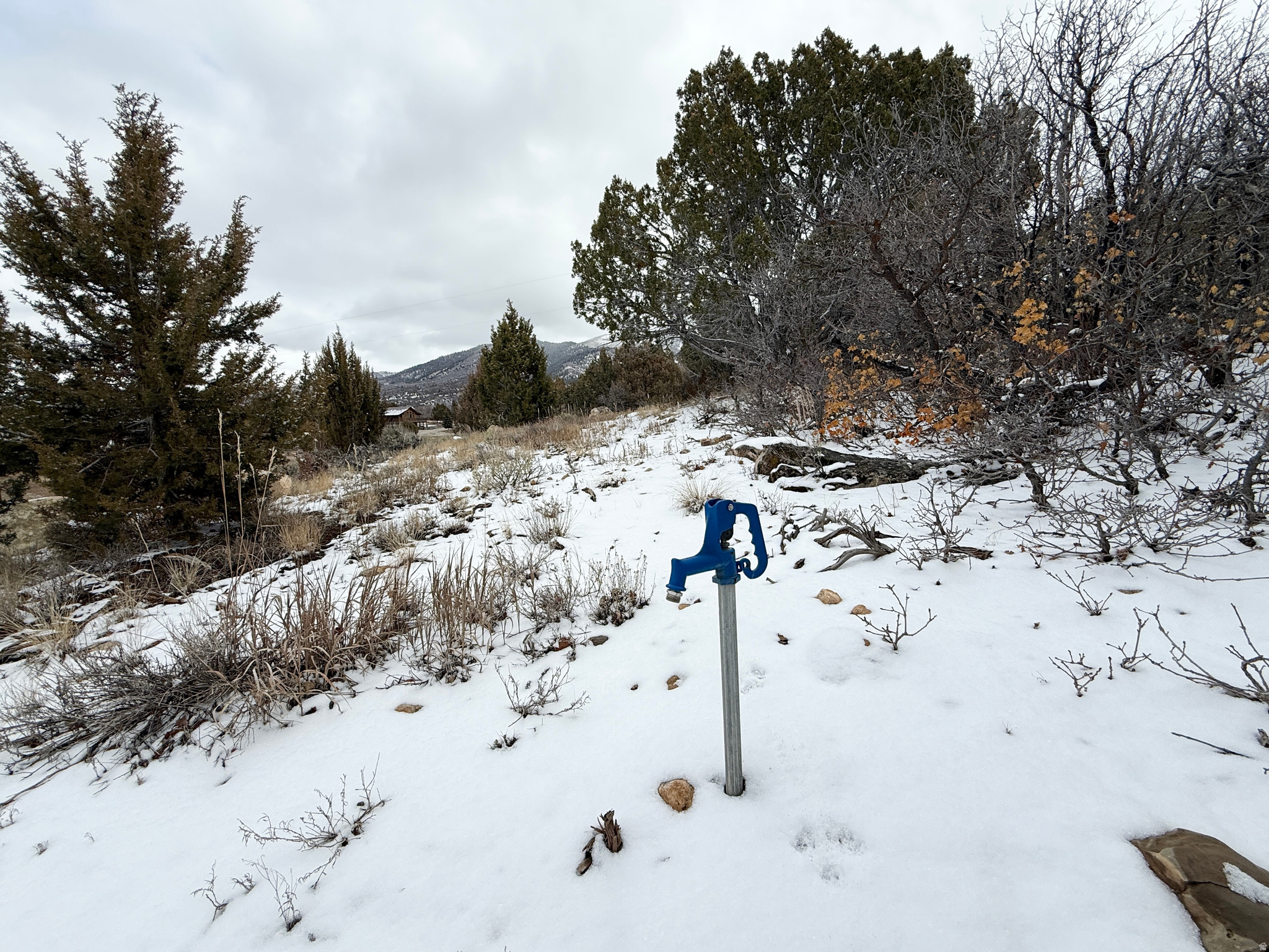 WHISPERING PINES III - Land