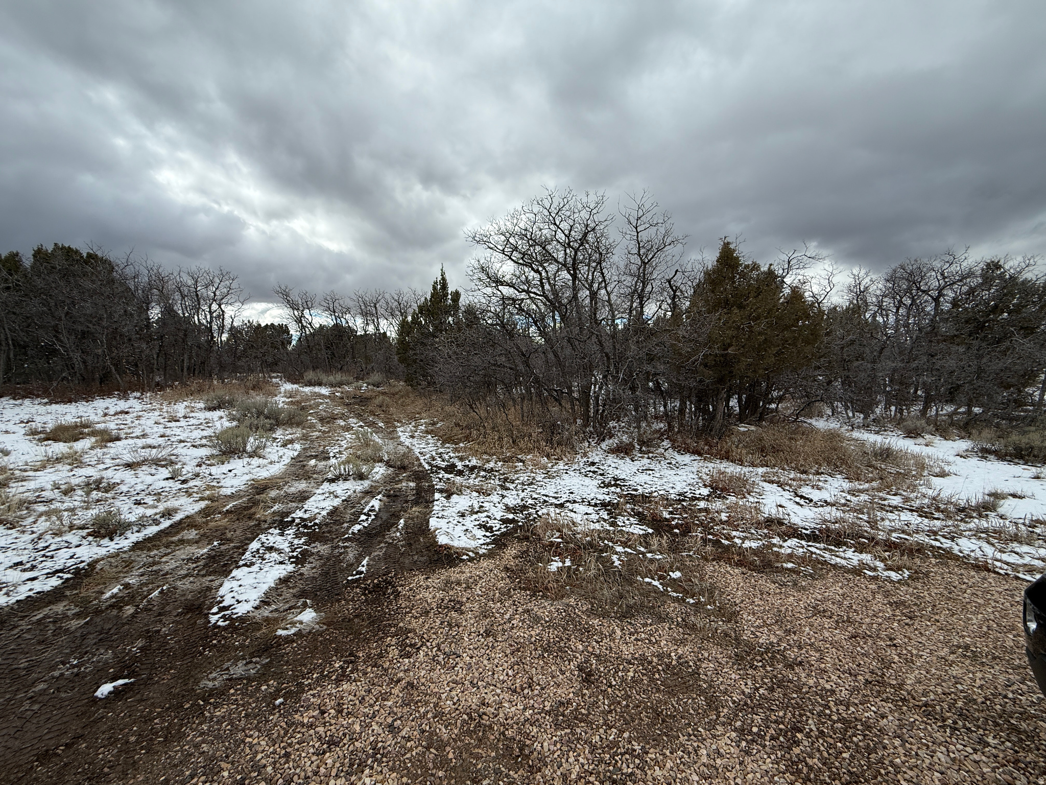 WHISPERING PINES III - Land