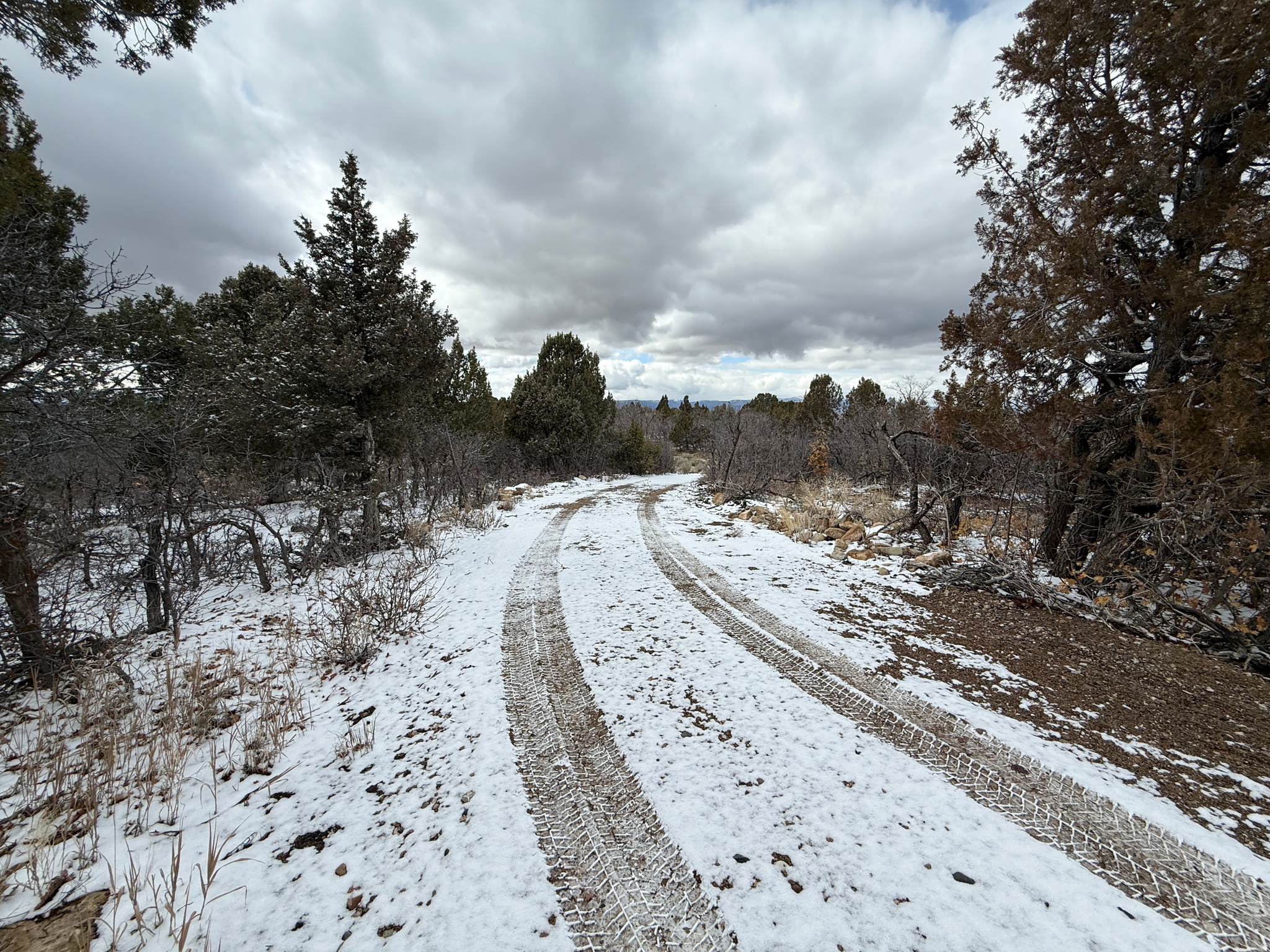 WHISPERING PINES III - Land