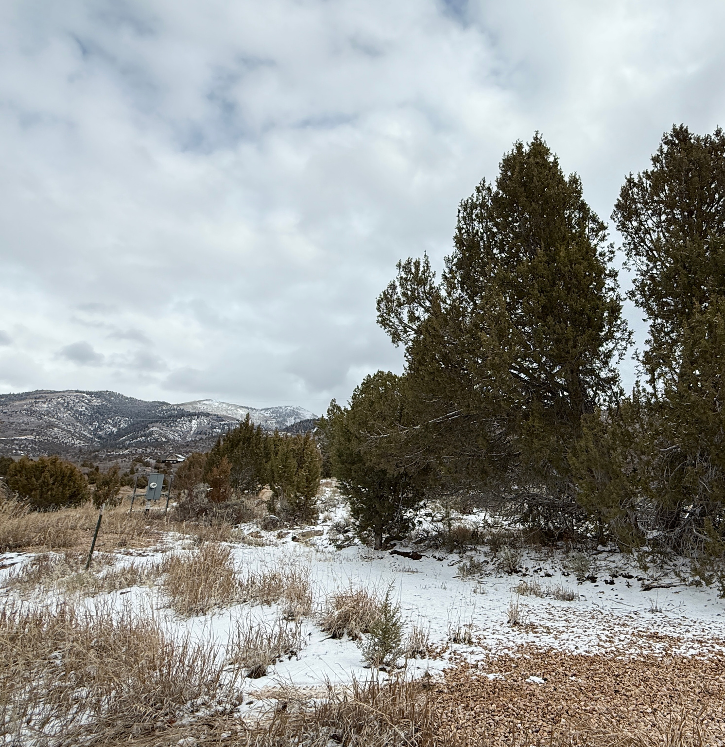 WHISPERING PINES III - Land