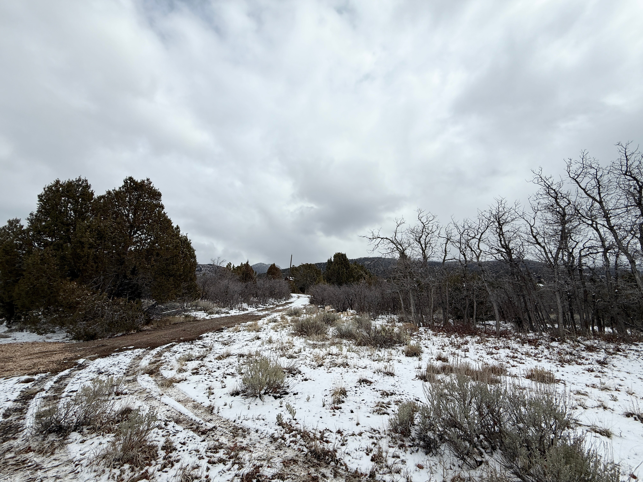 WHISPERING PINES III - Land