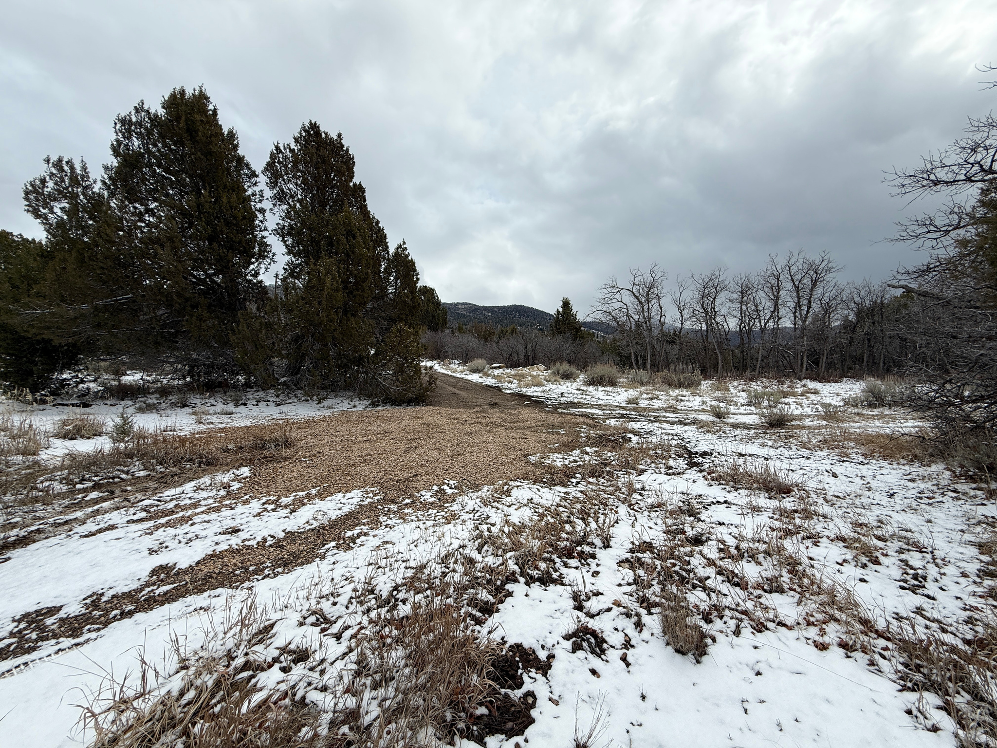 WHISPERING PINES III - Land