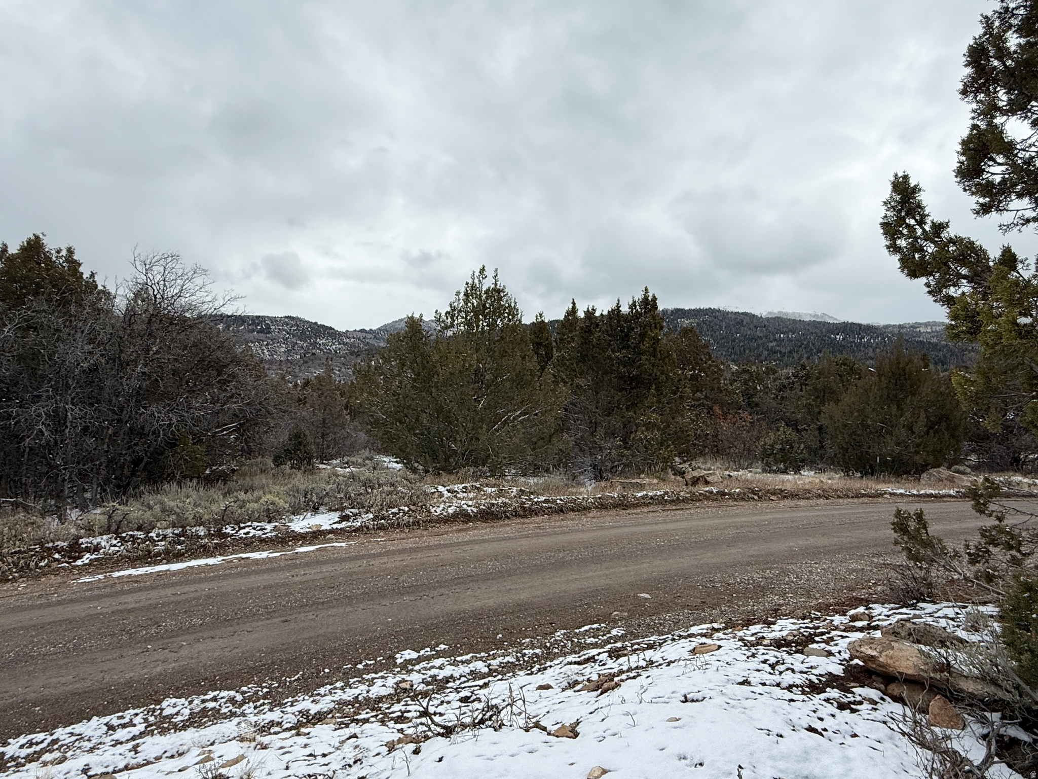 WHISPERING PINES III - Land