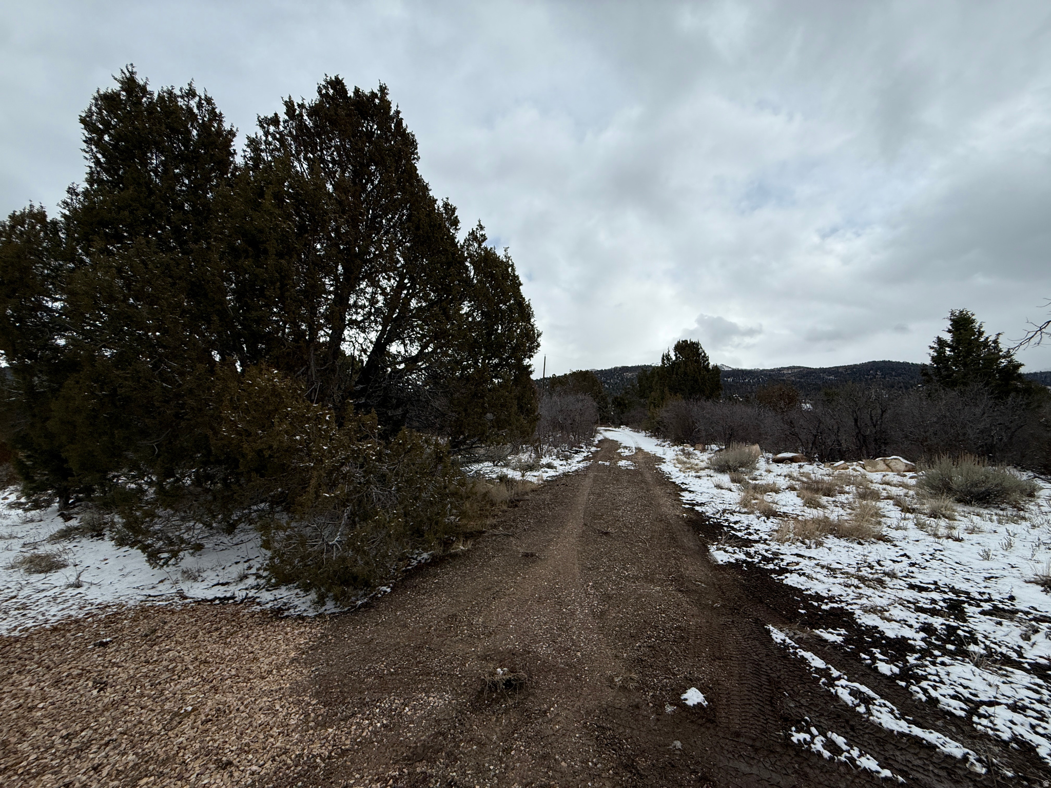 WHISPERING PINES III - Land