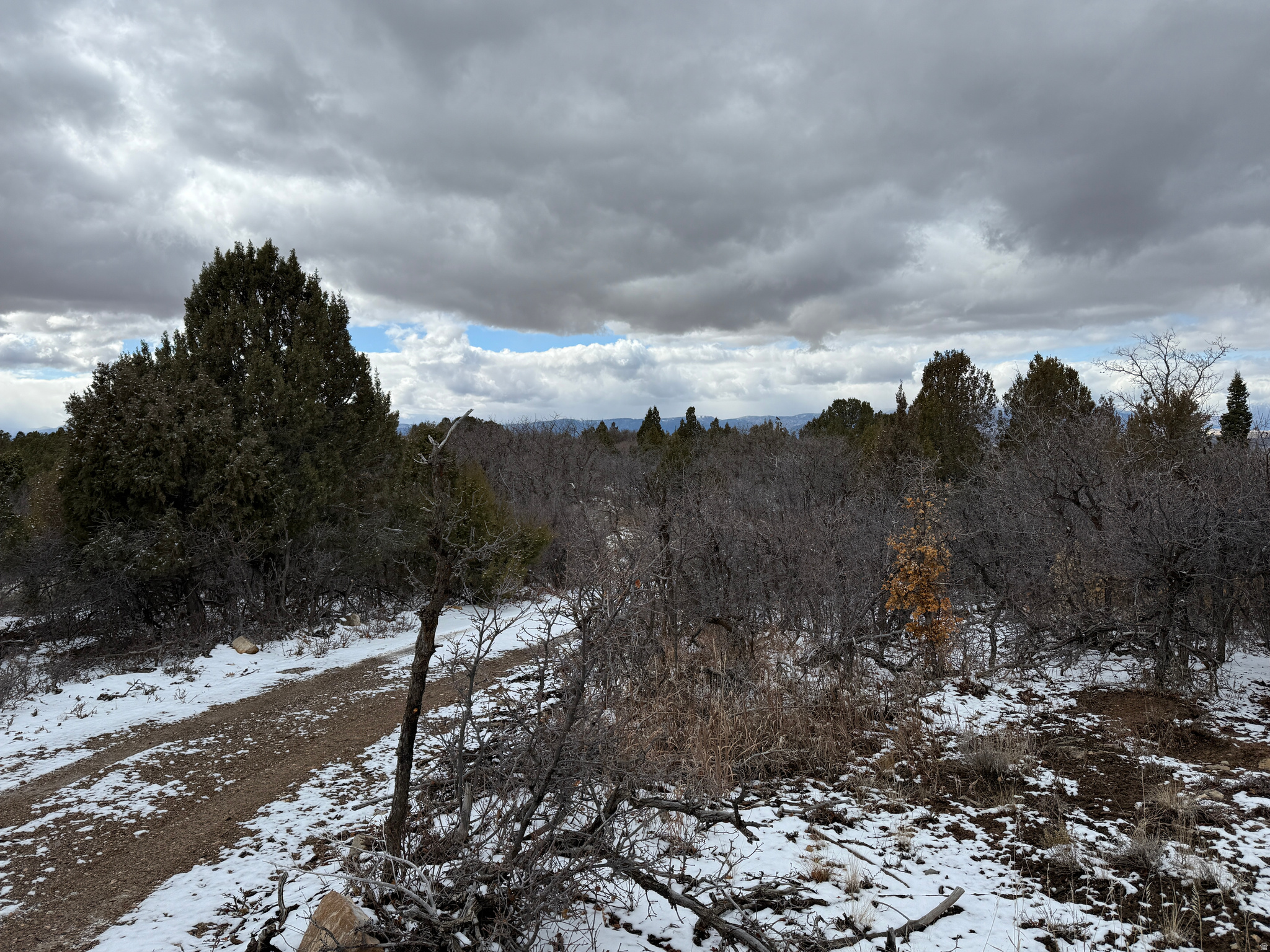 WHISPERING PINES III - Land