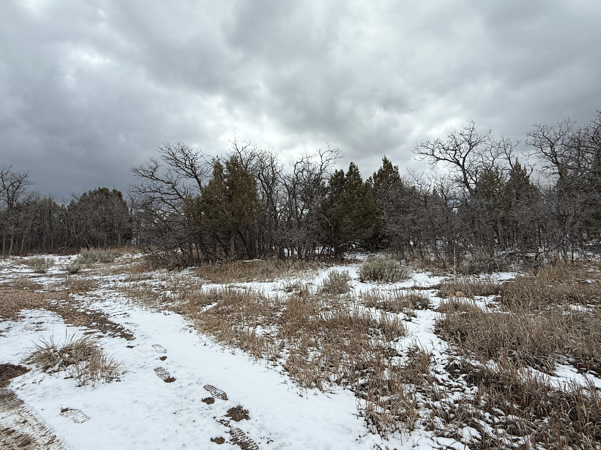 WHISPERING PINES III - Land