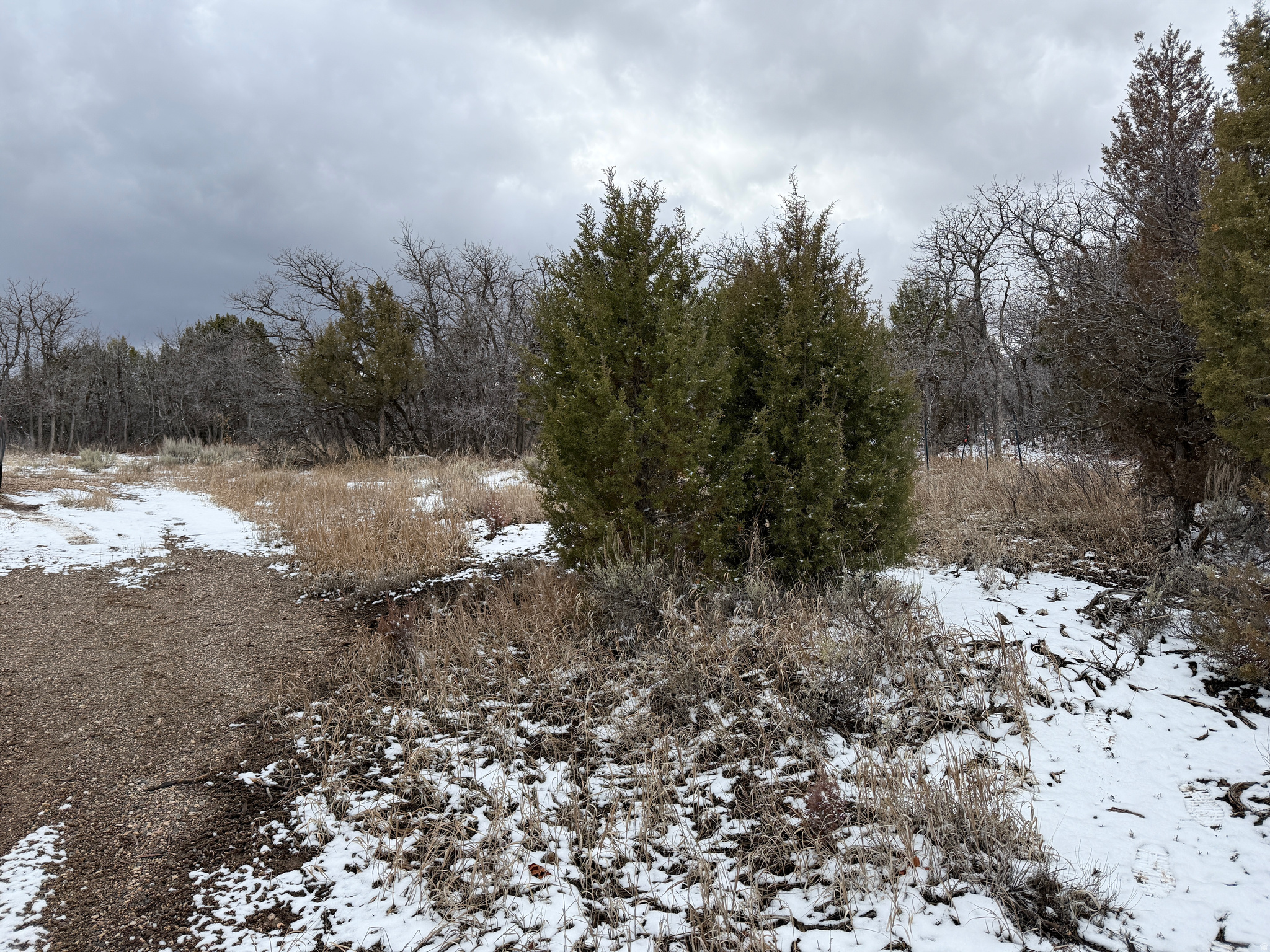 WHISPERING PINES III - Land